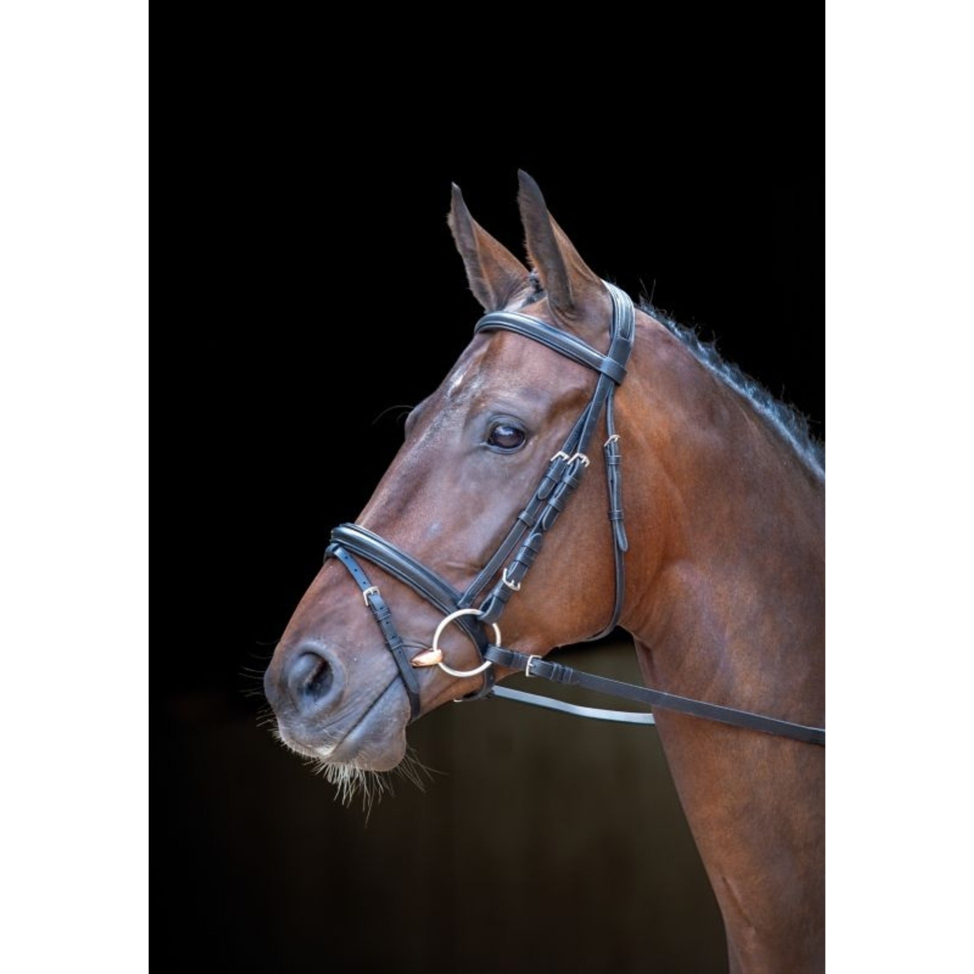 Velociti Dressage Flash Bridle