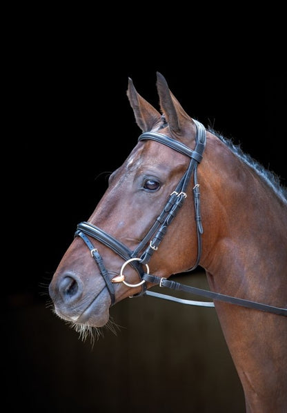 Velociti Dressage Flash Bridle