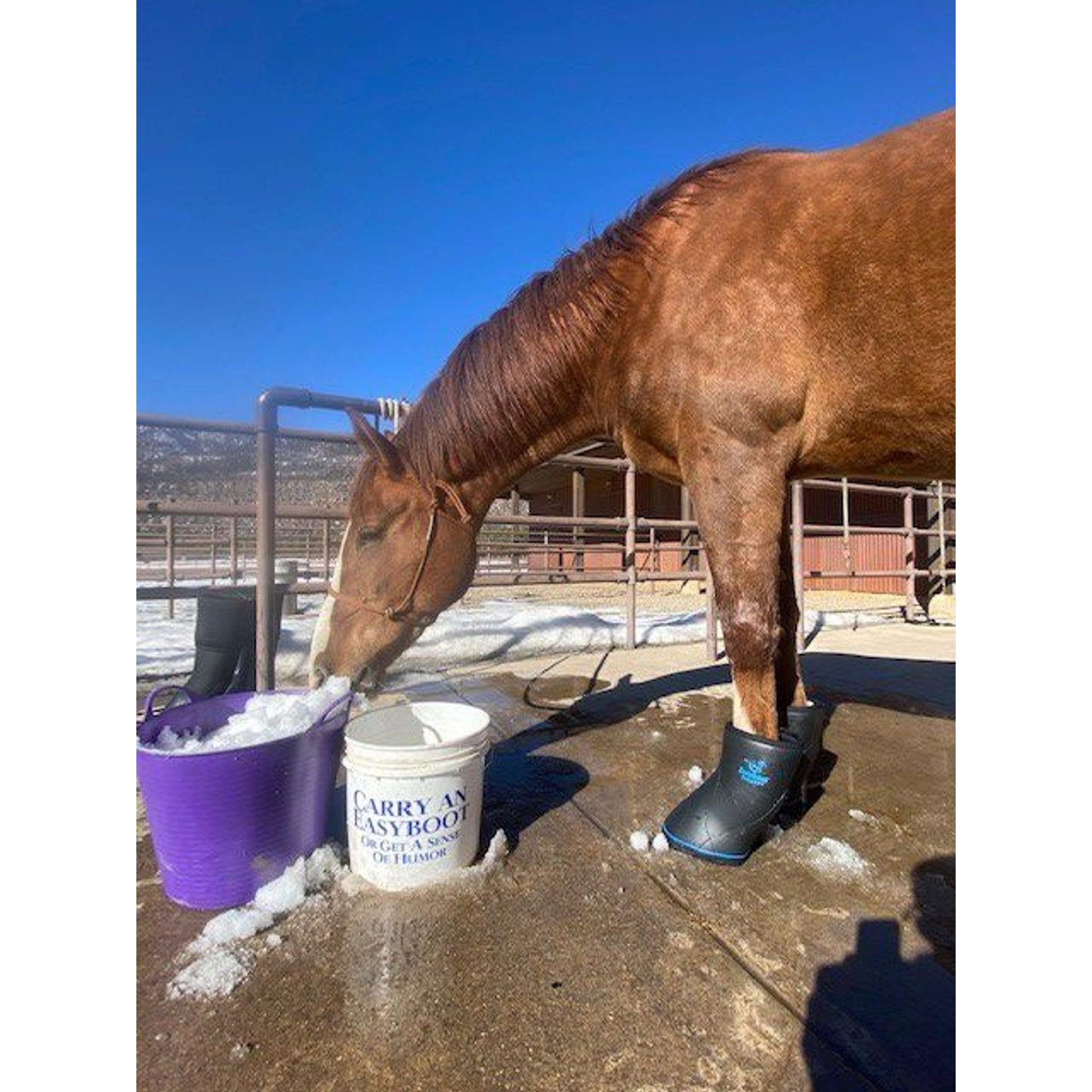 EasyCare Easyboot Remedy Soaking/Therapy Boot