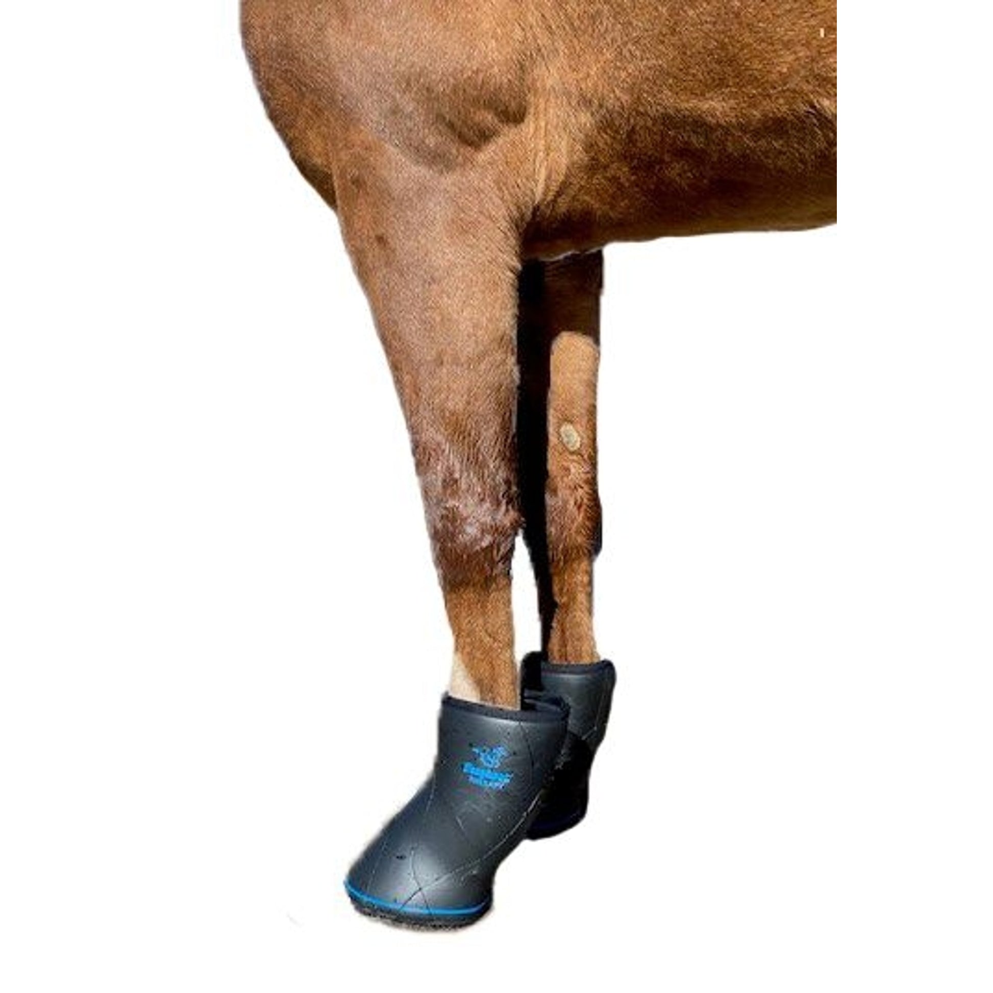 EasyCare Easyboot Remedy Soaking/Therapy Boot