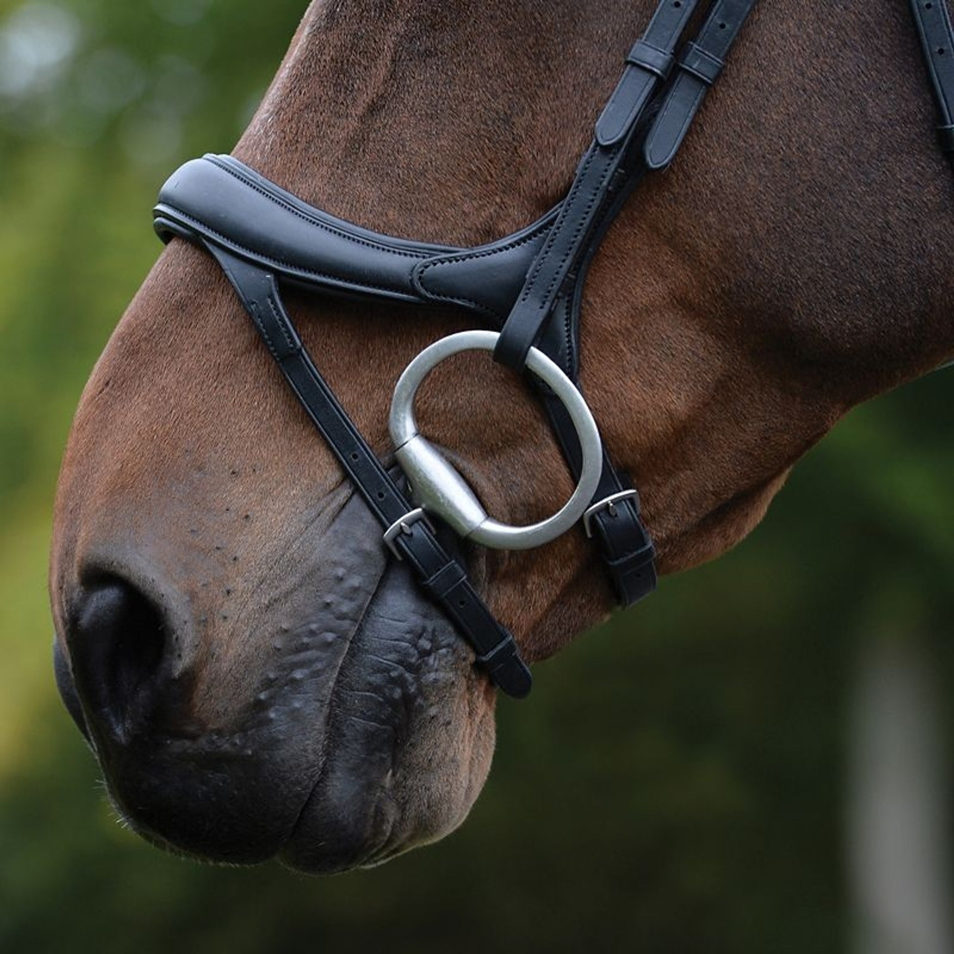 Collegiate Comfitec Vogue Bridle