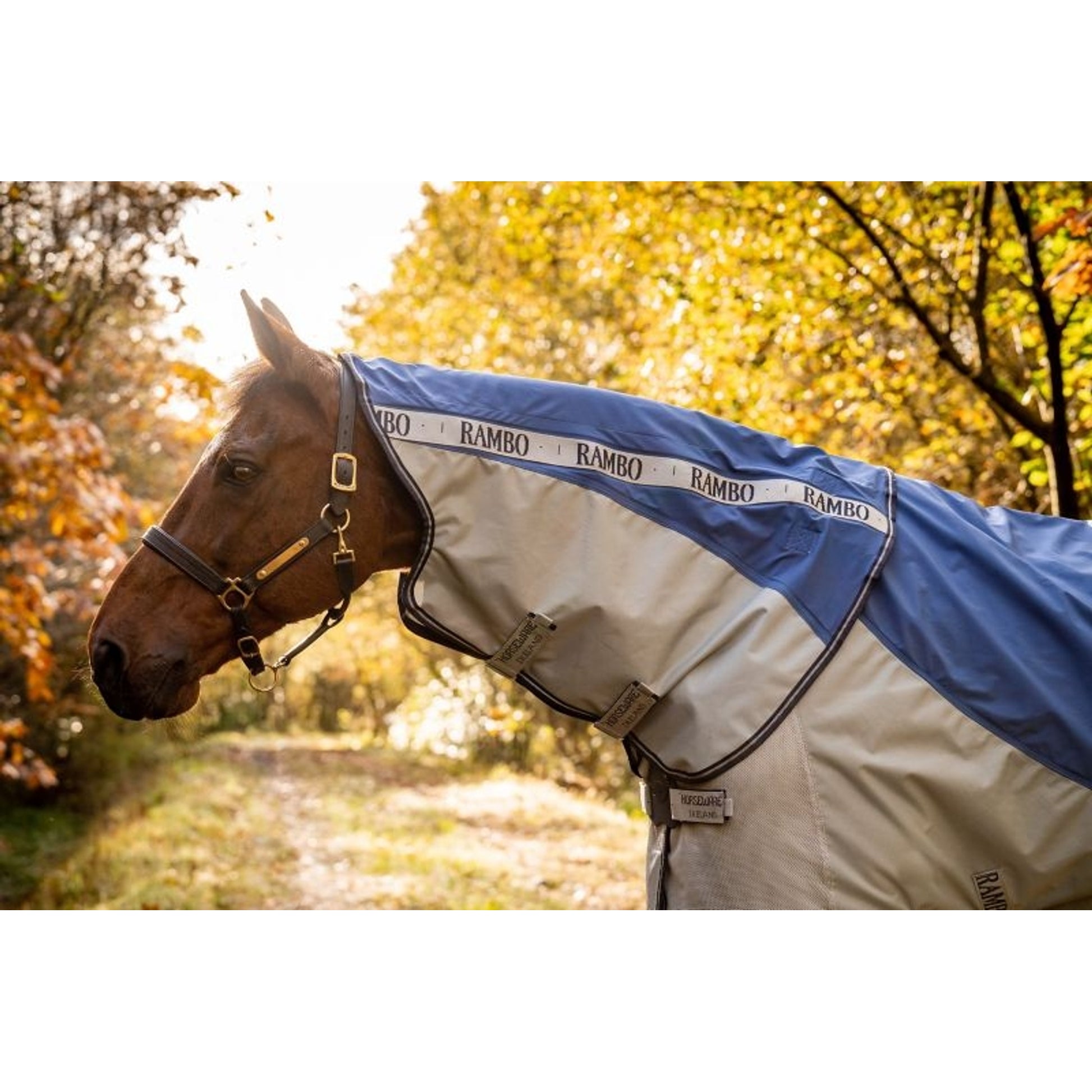 Rambo Autumn Series Turnout