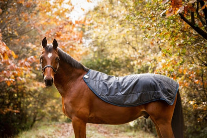 Rambo Autumn Series Turnout