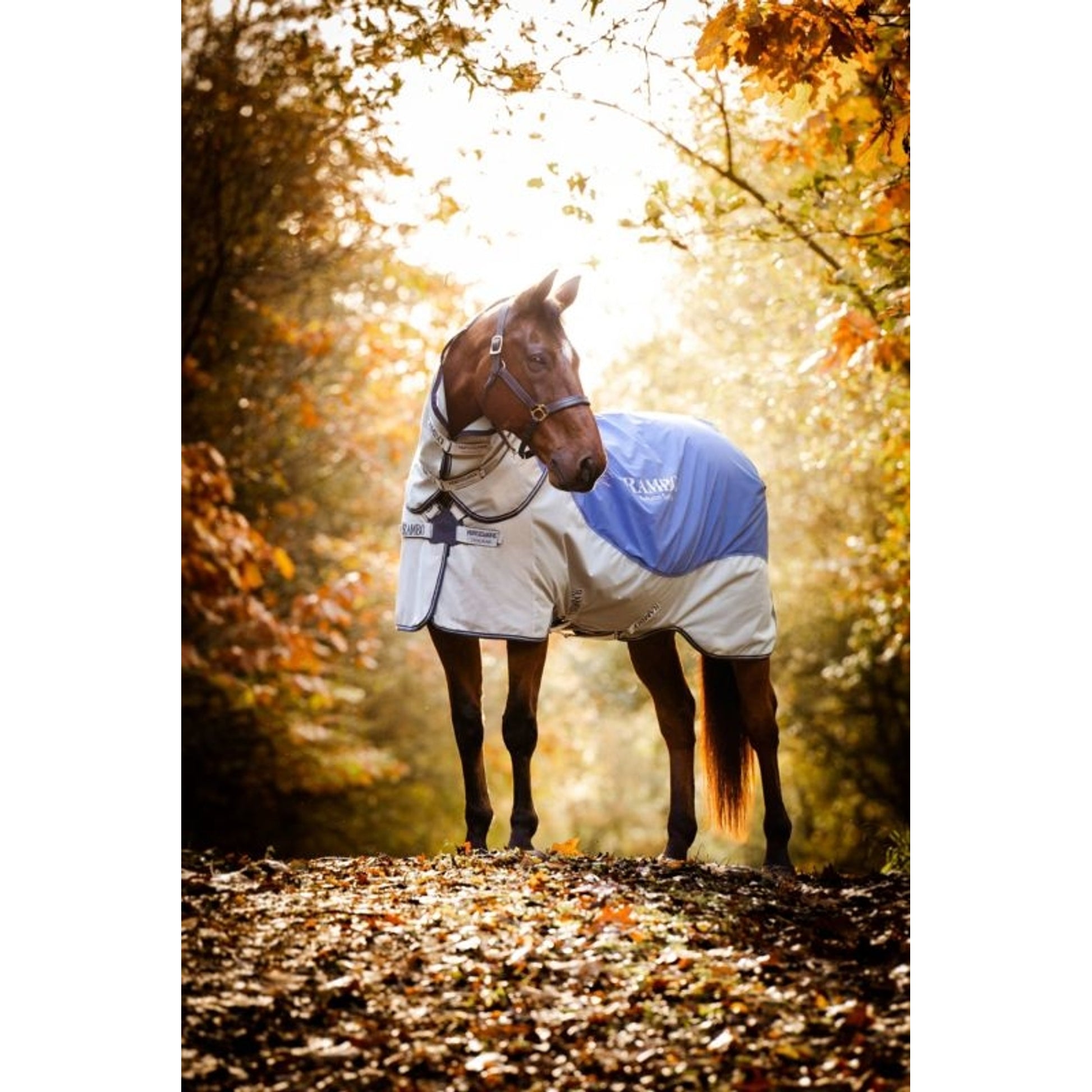 Rambo Autumn Series Turnout