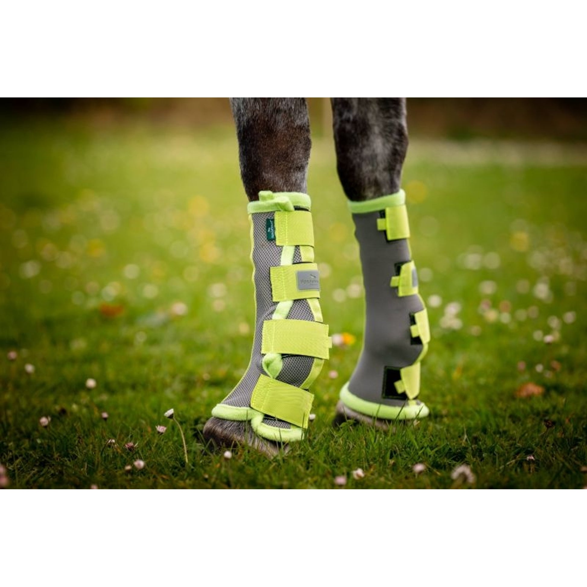 Horseware Flyboots