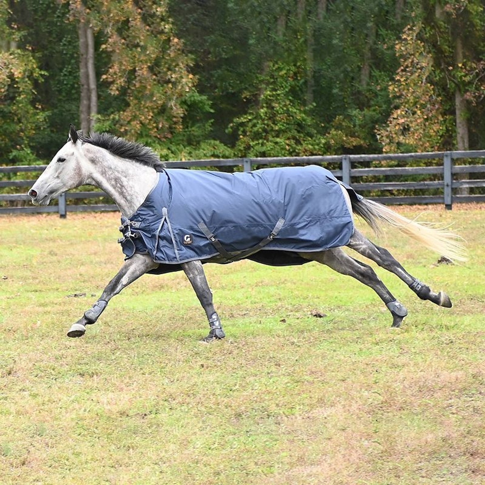 Gatsby 600D 300gm HW Waterproof Blanket