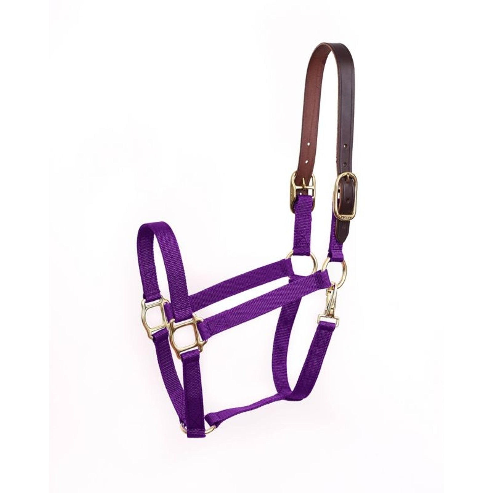 Perris Economy Safety Halter