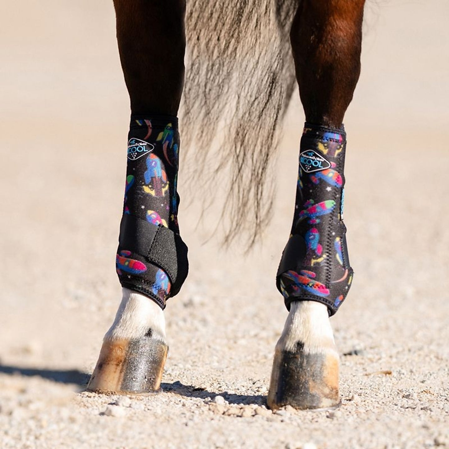 TE040229_ROC_02.jpg