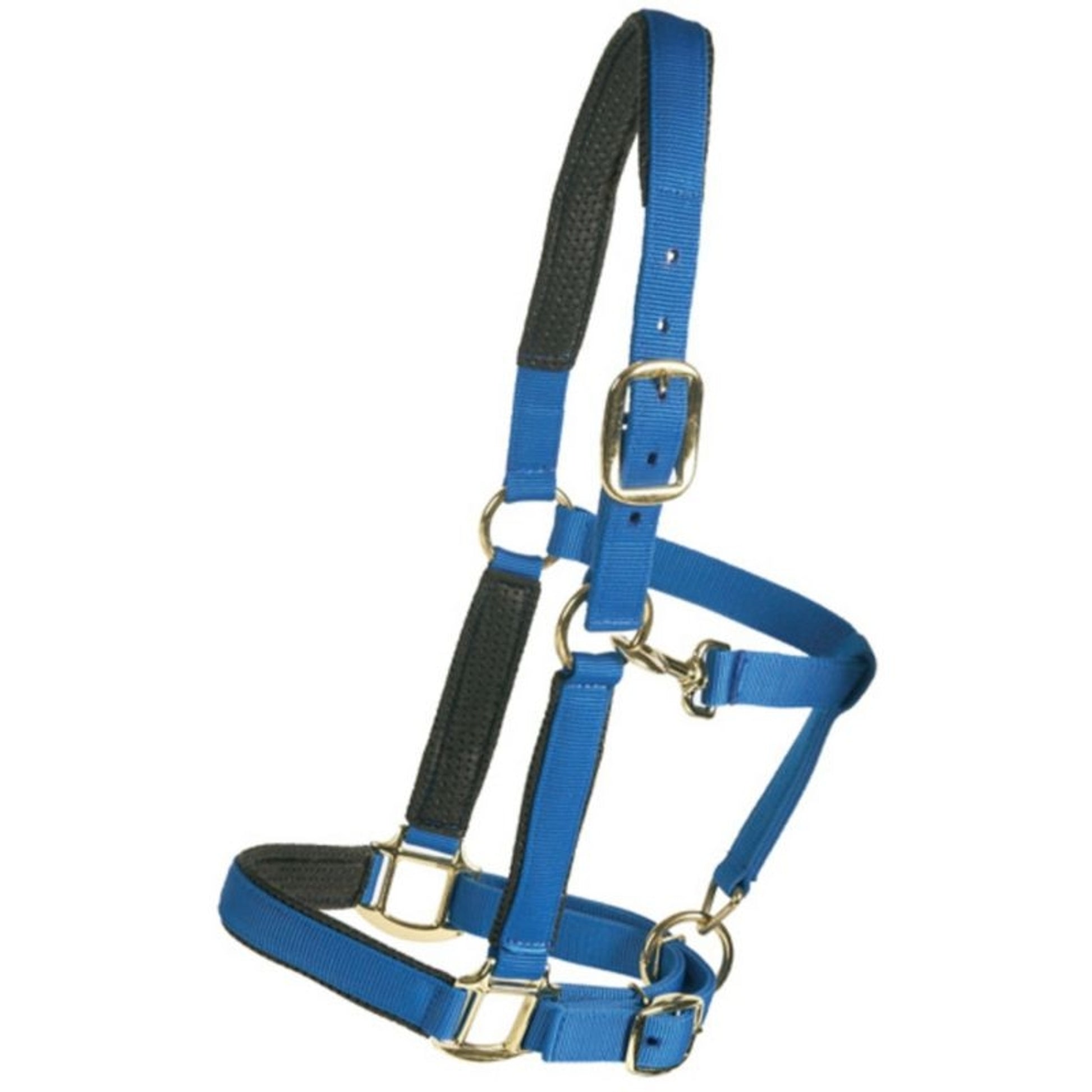 Centaur Super Padded Comfort Halter