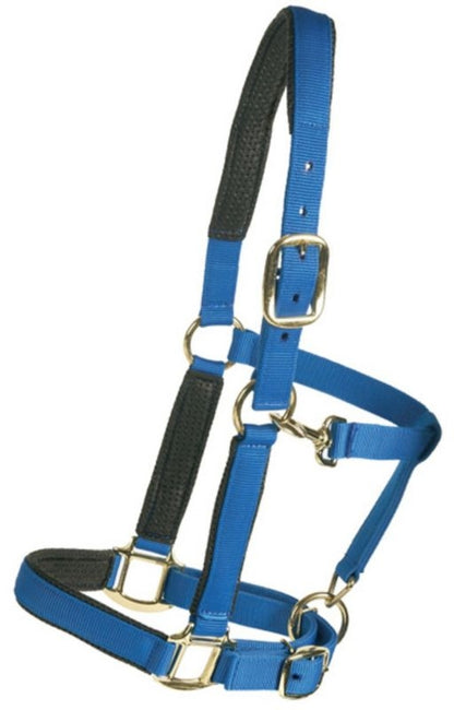 Centaur Super Padded Comfort Halter