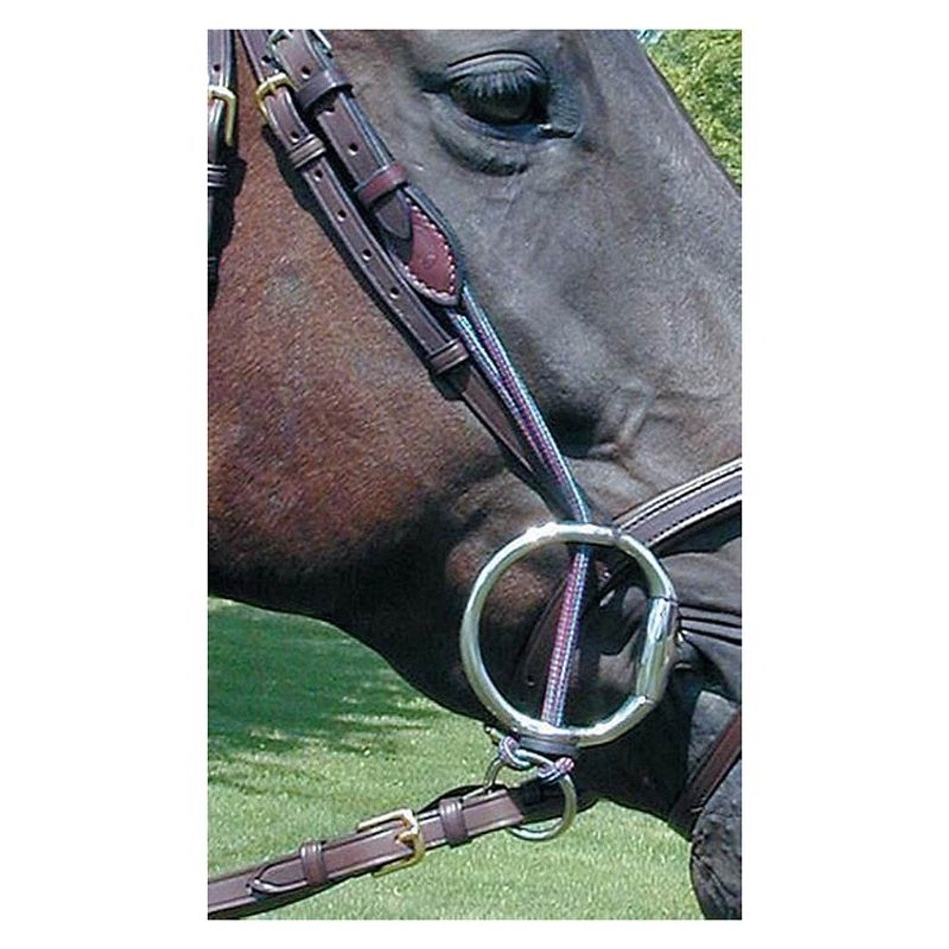 Nunn Finer Gag Cheeks Cob Havana