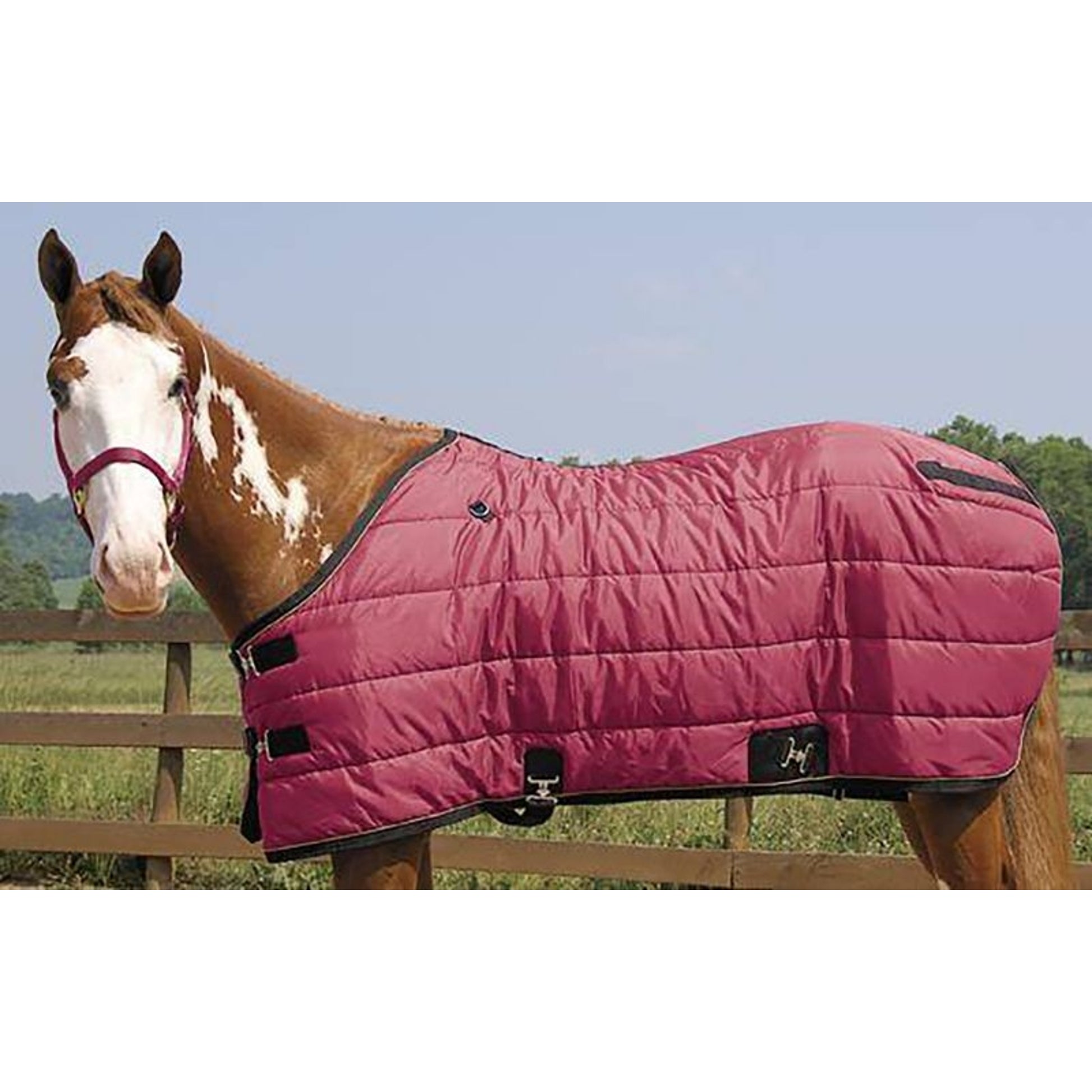 Weaver 420D Stable Blanket