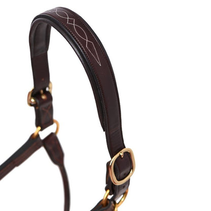 Perris Fancy Stitched Leather Halter