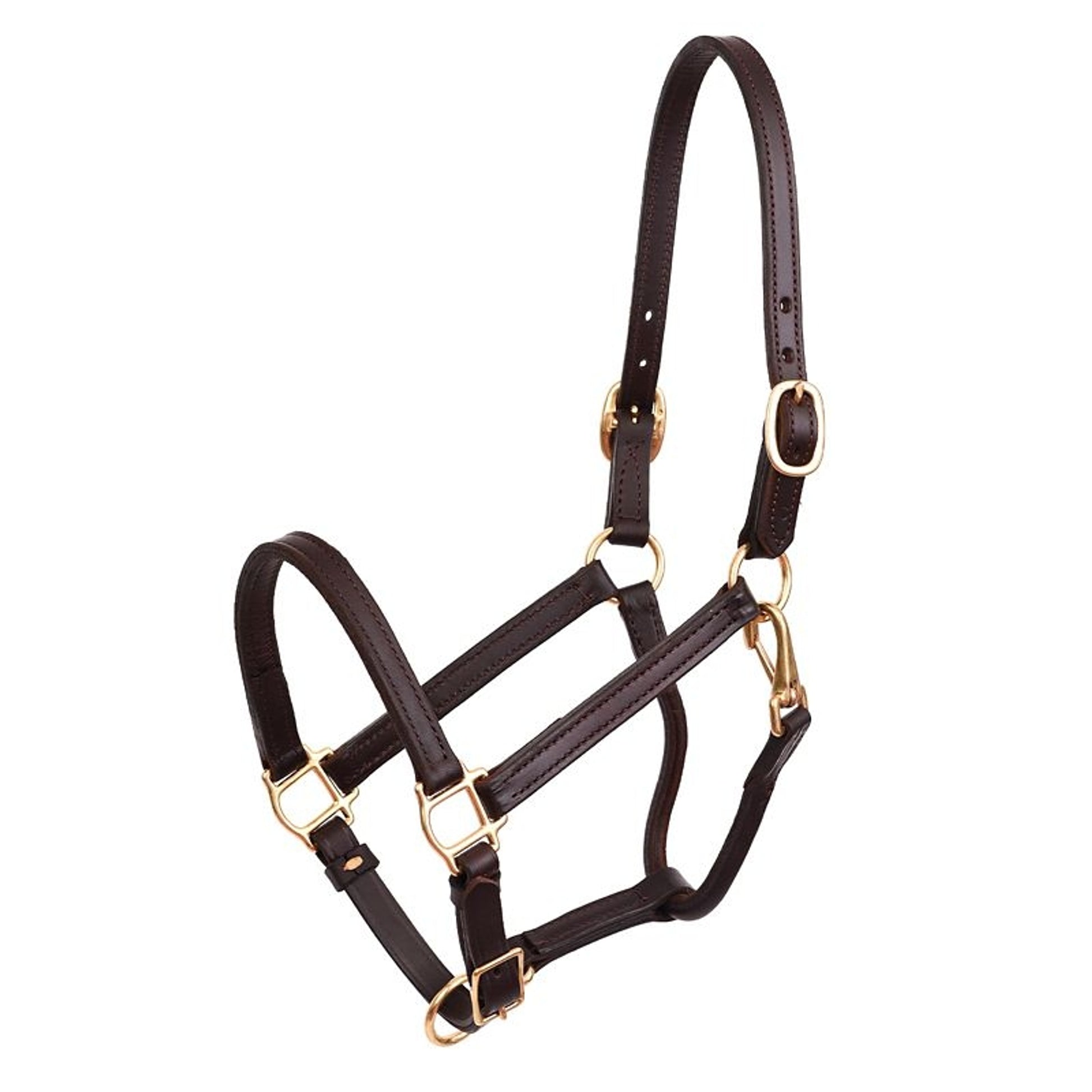 Perris 3/4 Premium Leather Show Halter Cob Brn