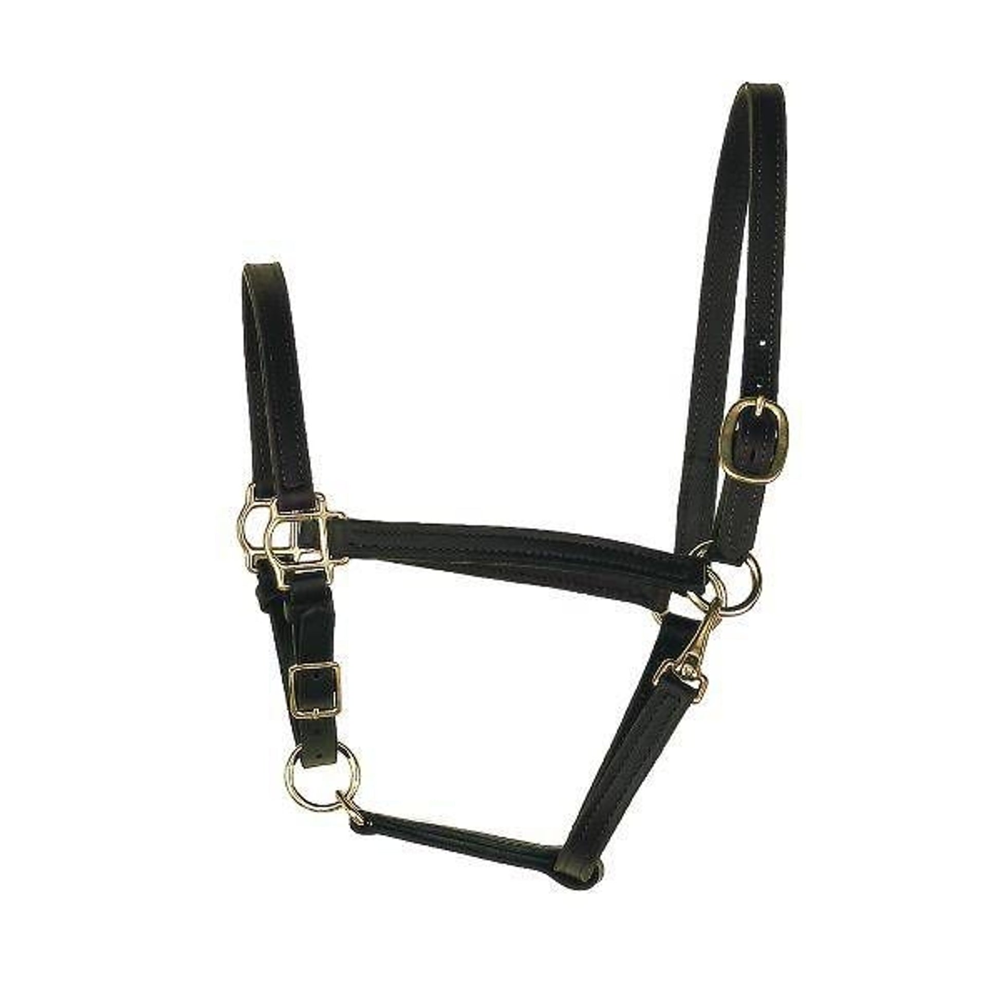 Perris 3/4 Inch Turnout Halter