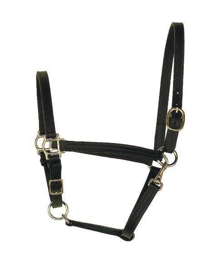 Perris 3/4 Inch Turnout Halter