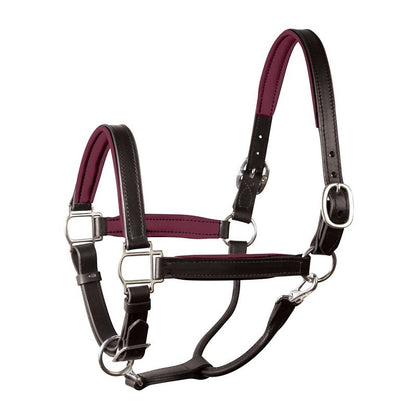 Perri's Soft Padded Leather Halter