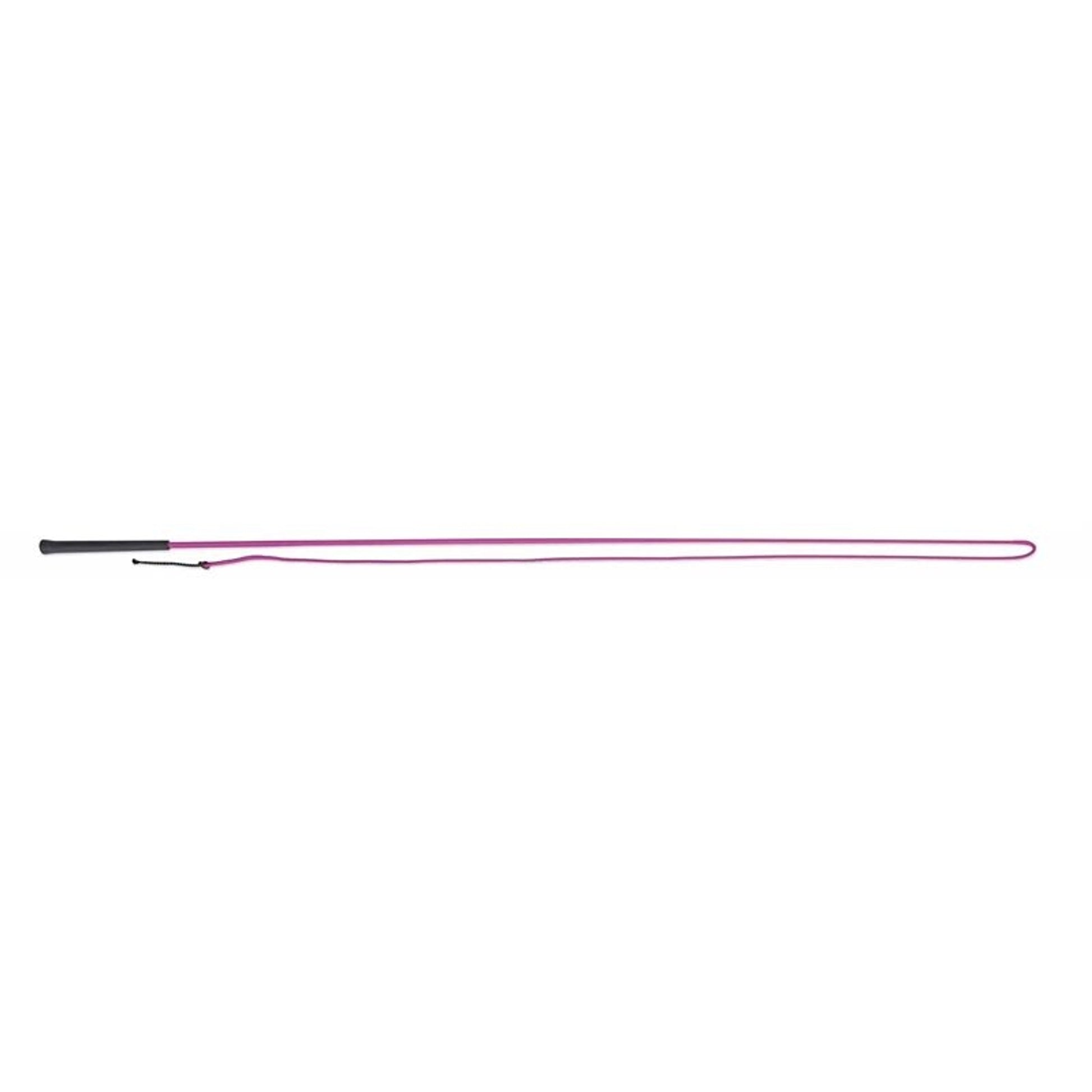 Lunging Whip 63 Black