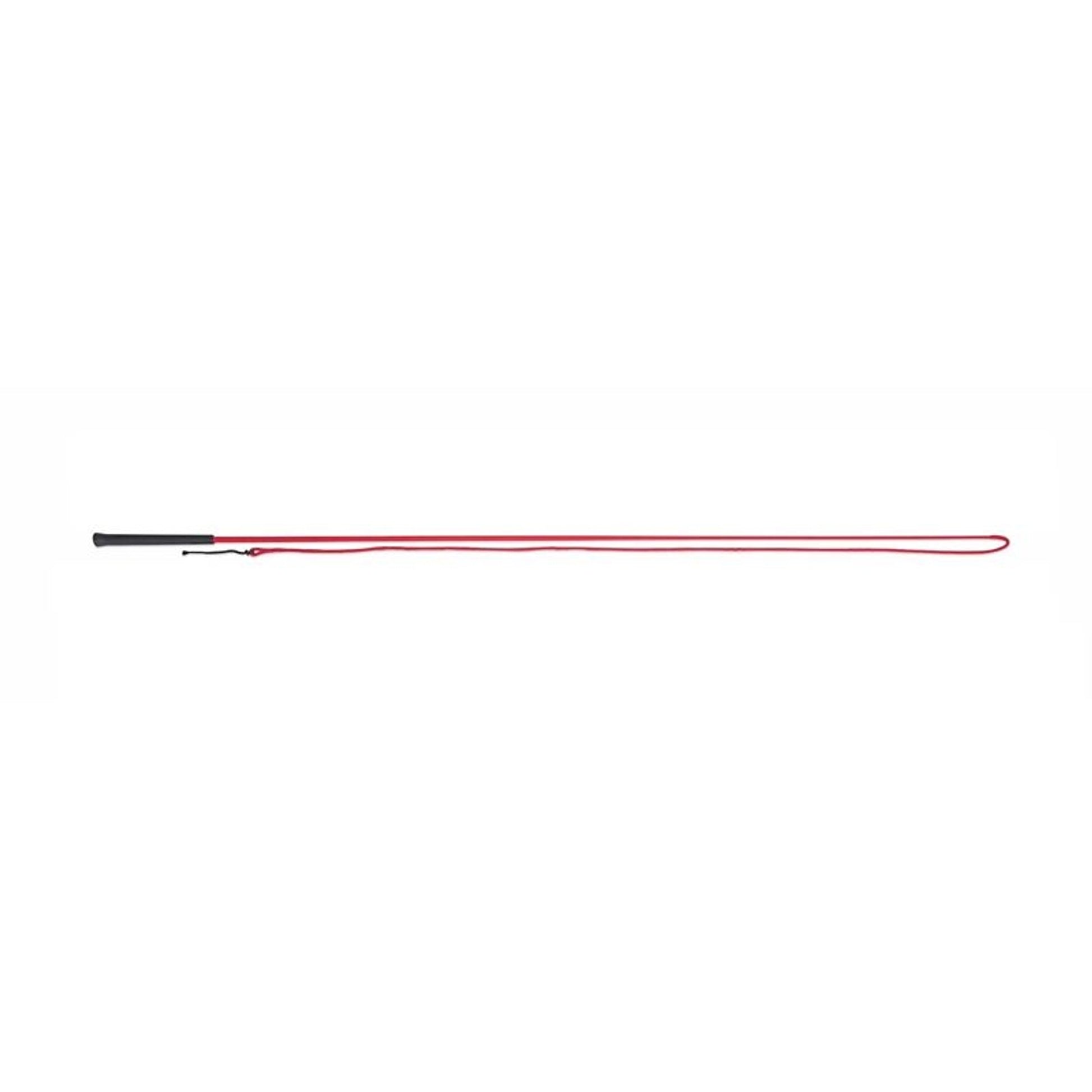 Lunging Whip 63 Black