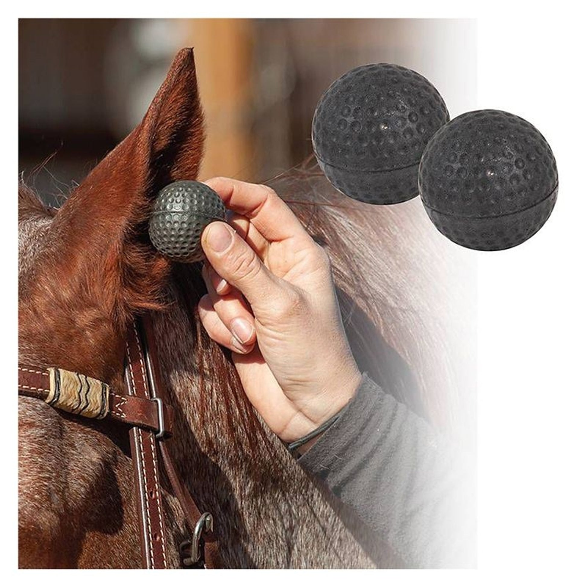 Horse Ear Plugs Large Black