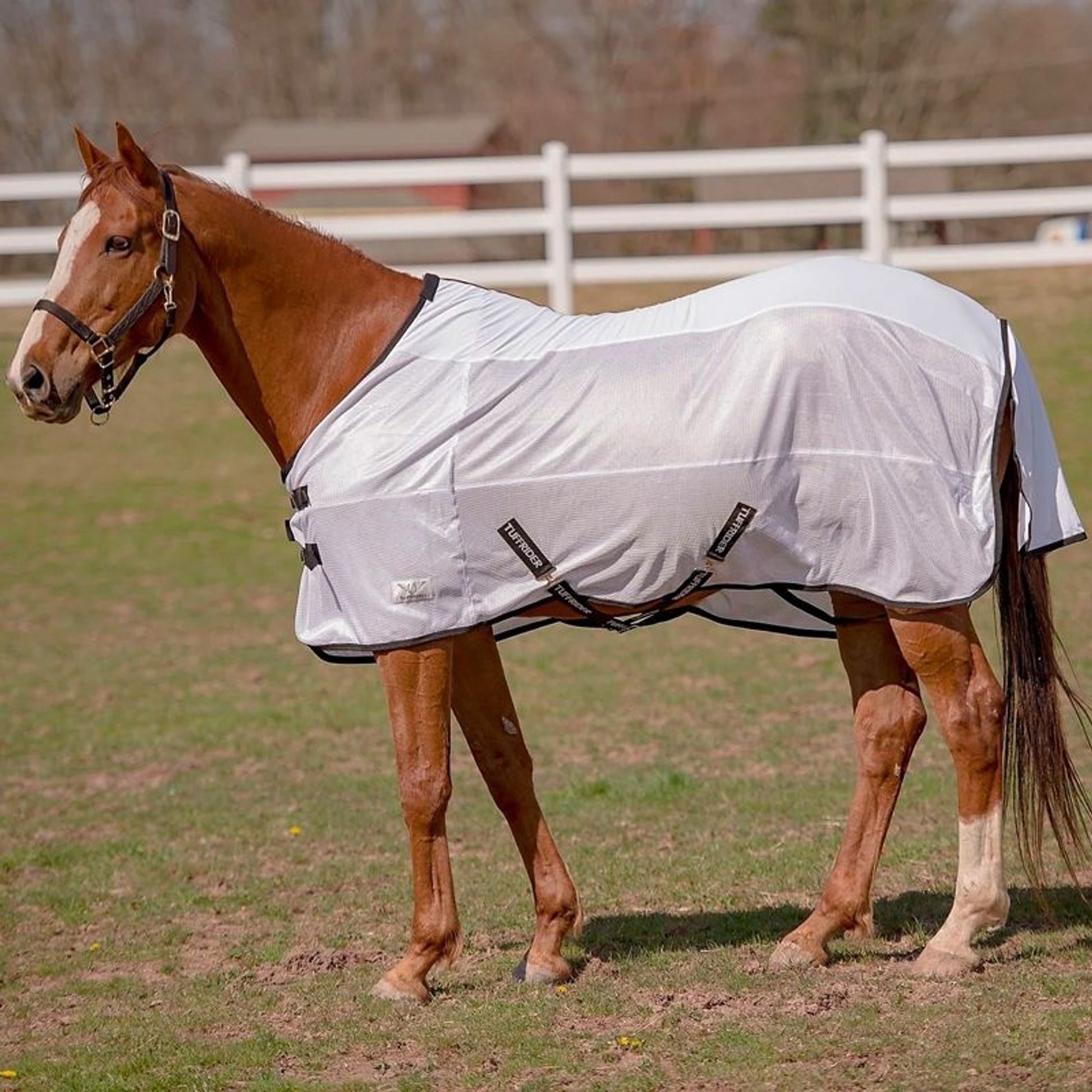 Tuffrider Sport Mesh Fly Sheet 75 White