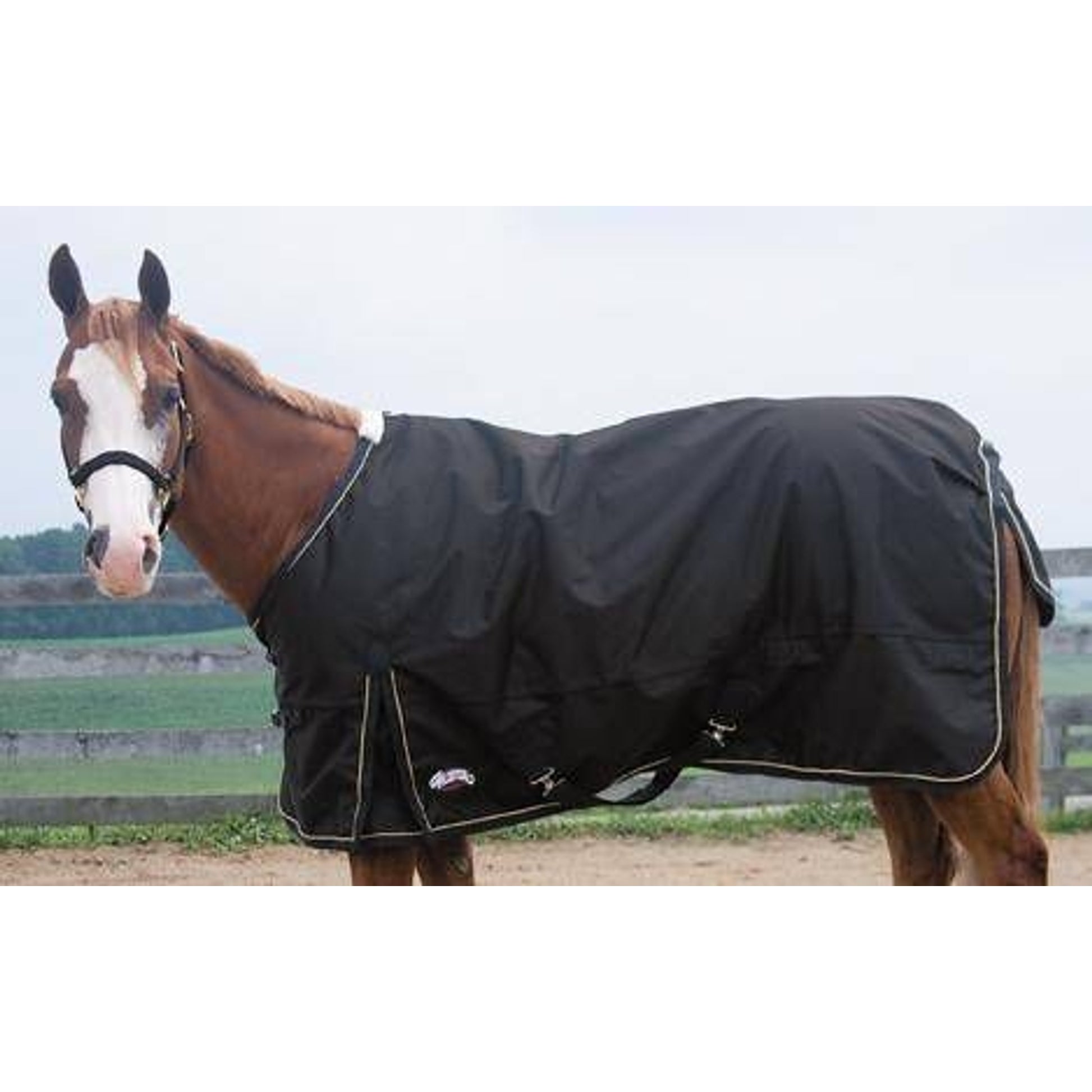 600D Ripstop Waterproof T/O Blanket