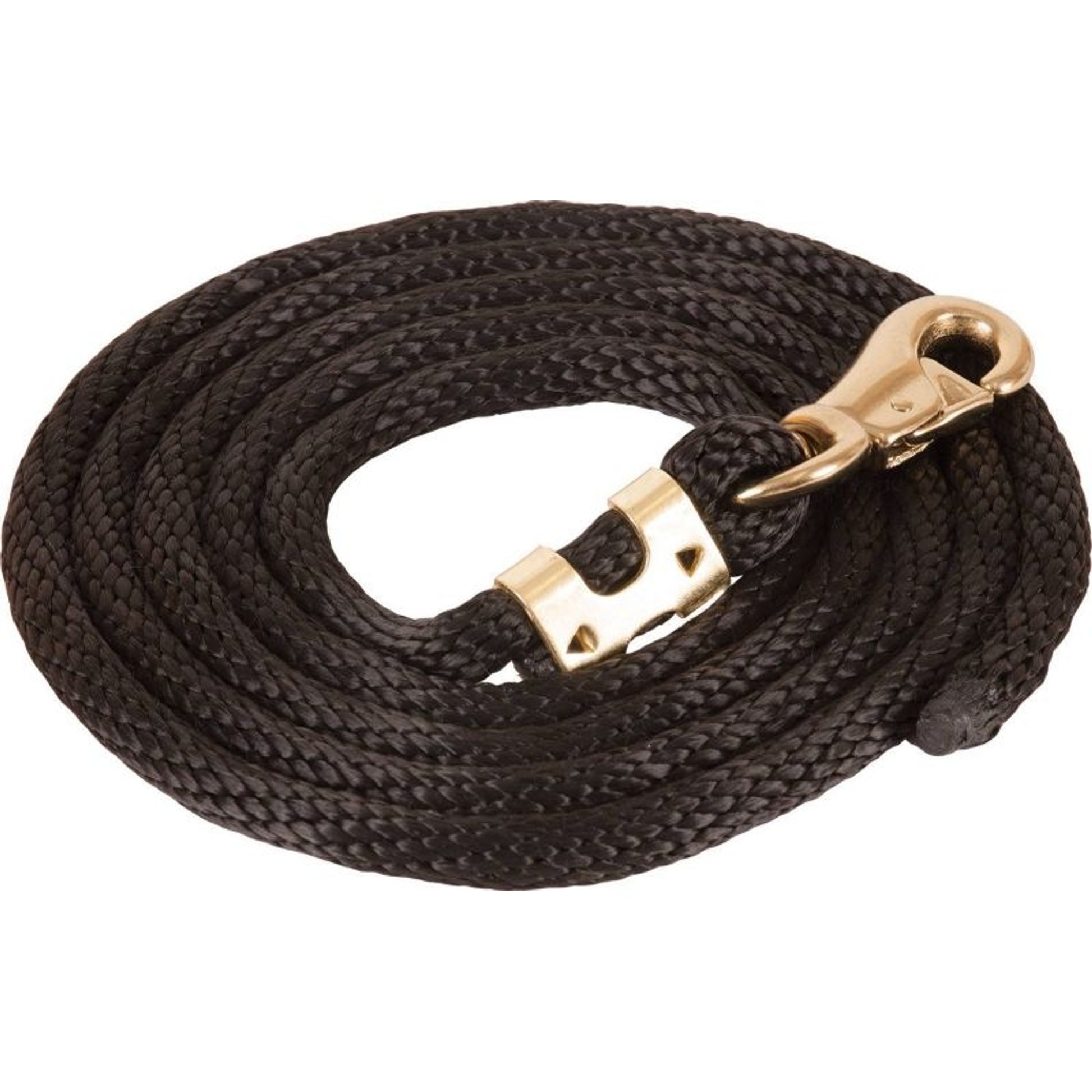 Mustang Poly Lead Rope with 1" Brass Plated Bull S