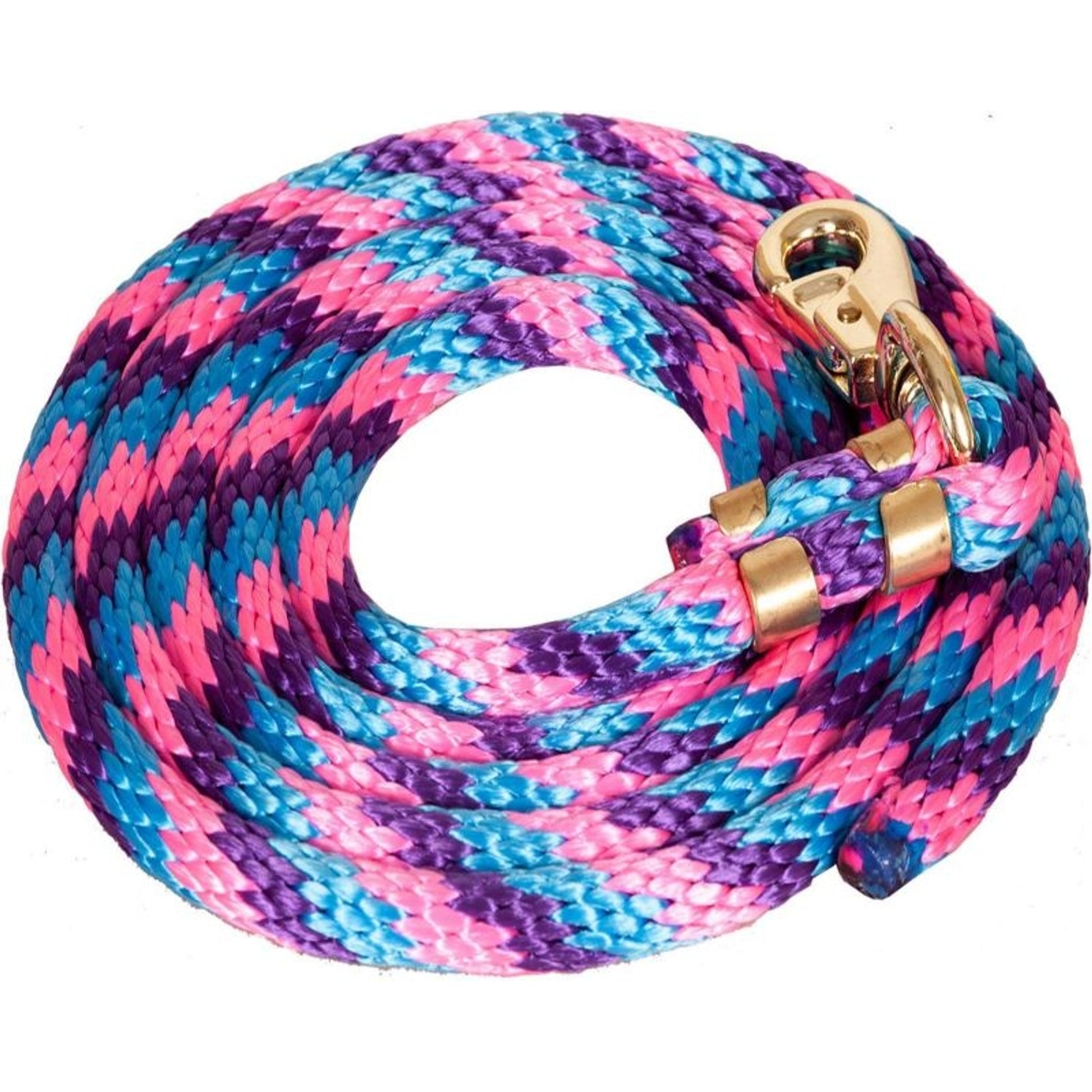 Mustang Poly Lead Rope with 1" Brass Plated Bull S
