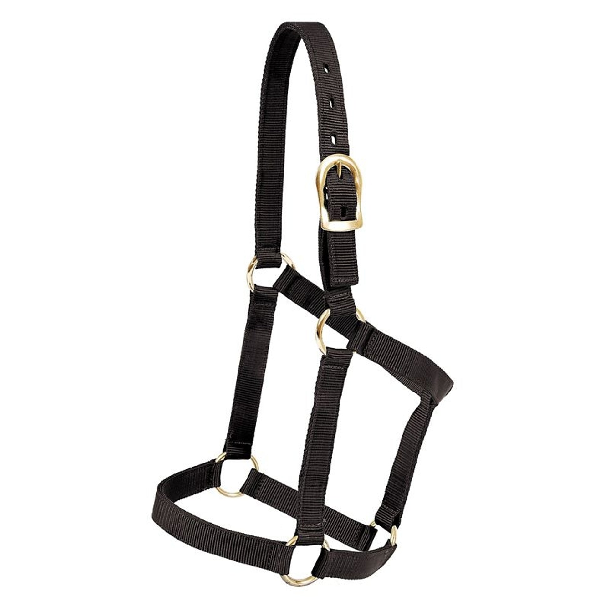 Mustang Regular Economy Halter
