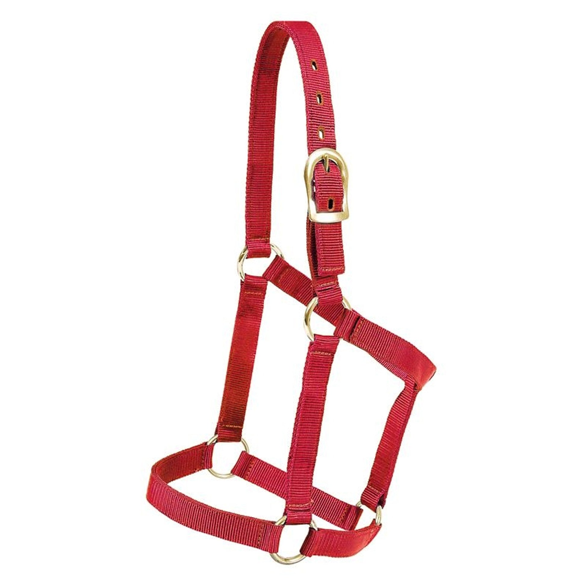 Mustang Yearling Economy Halter