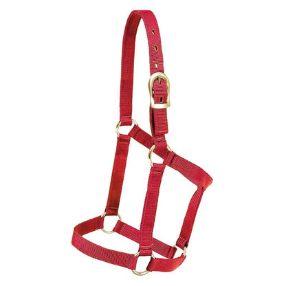 Mustang Yearling Economy Halter