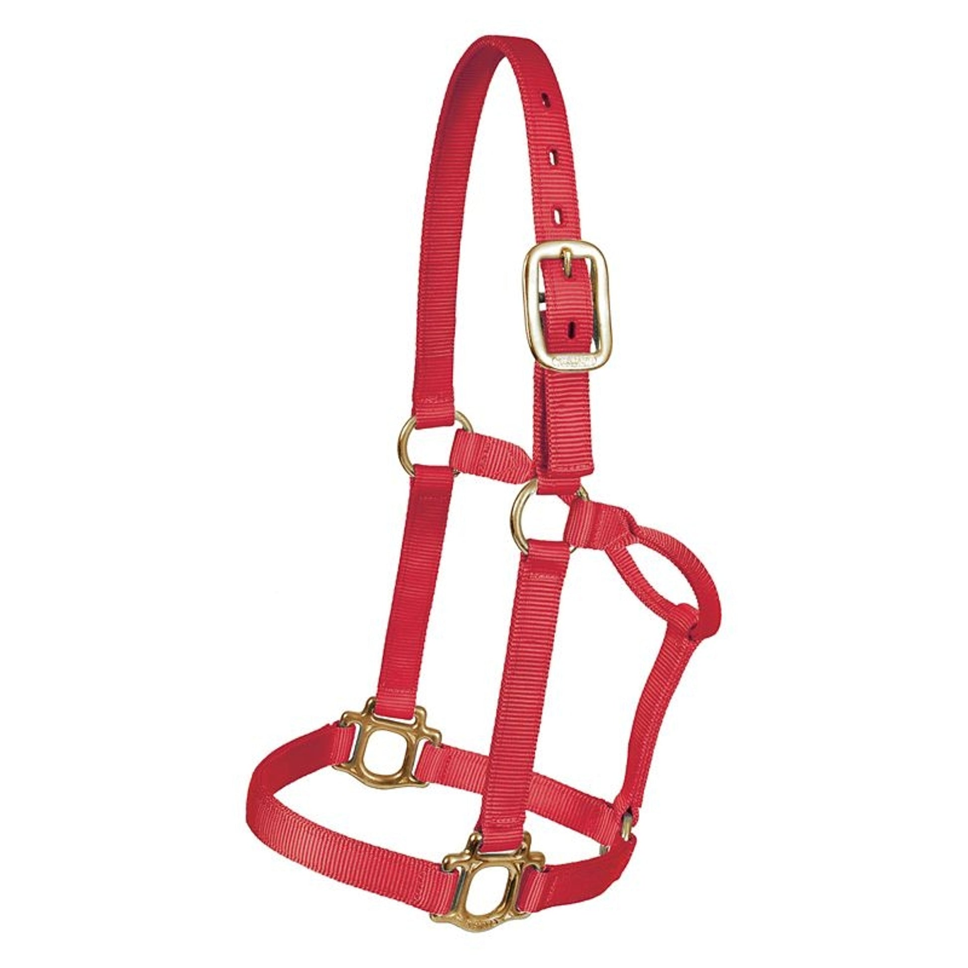 Mustang Yearling Traditional Nylon Halter