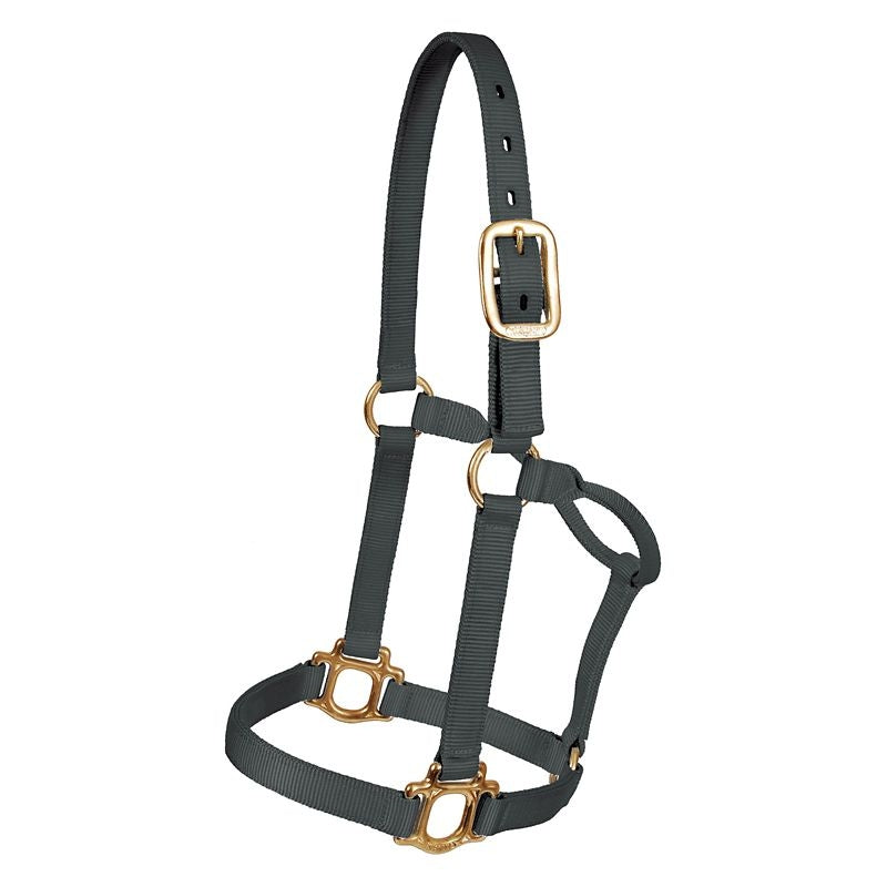 Mustang Colt Traditional Nylon Halter
