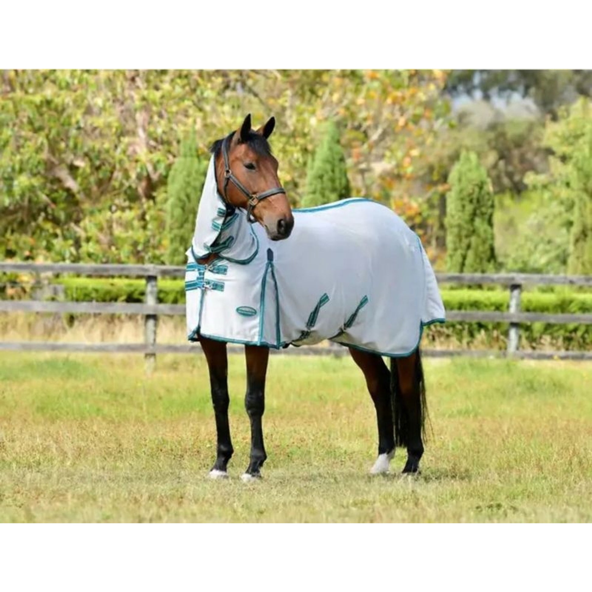 WeatherBeeta ComFiTec Zephyr Plus Mesh Combo Neck Fly Sheet