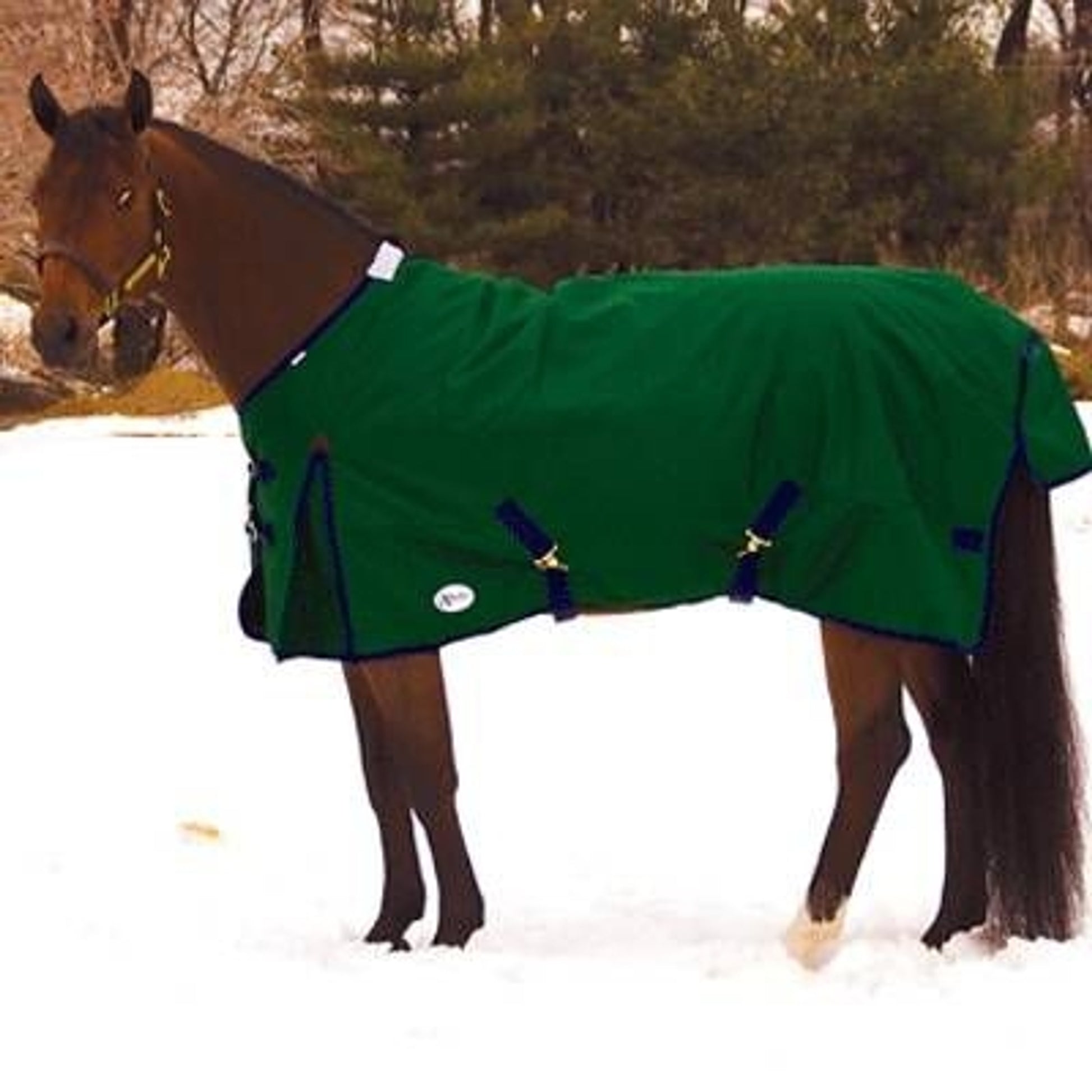 Exselle North Wind Supreme HW Turnout Blanket