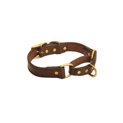 Tory Lthr Martingale Lthr Dog Collar 16In Hav