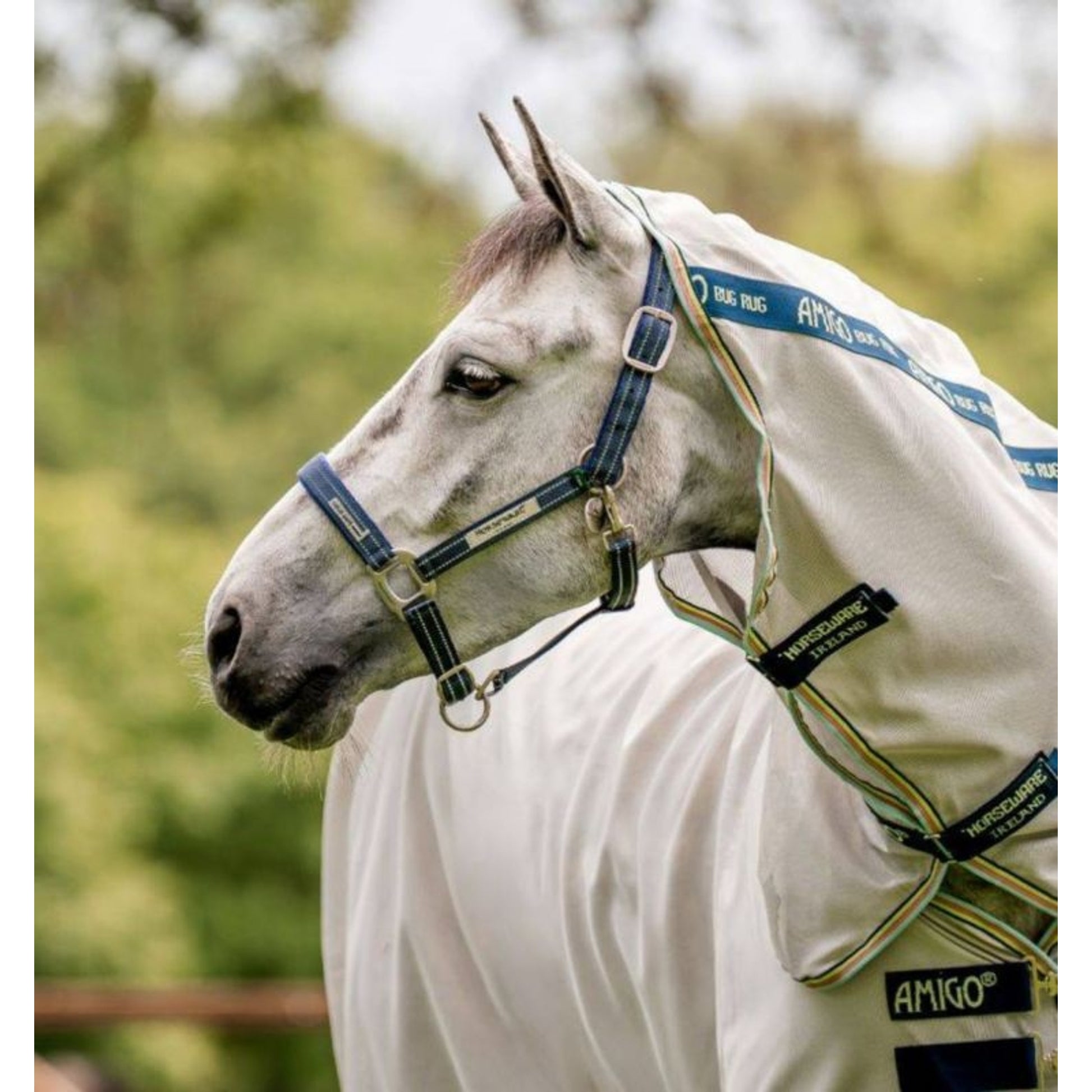 Rambo FIELDSAFE Safety Halter Horse Blue Haze