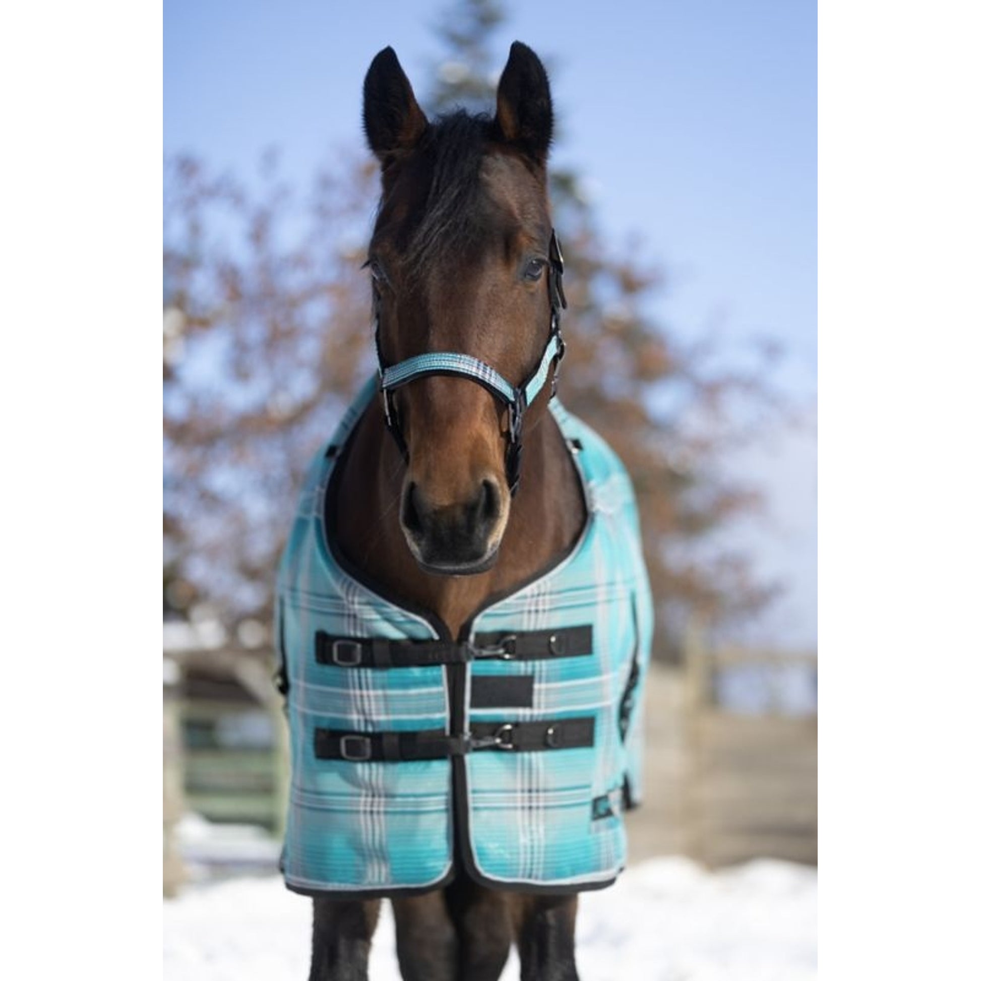 Kensington SuperMesh Turnout 180G