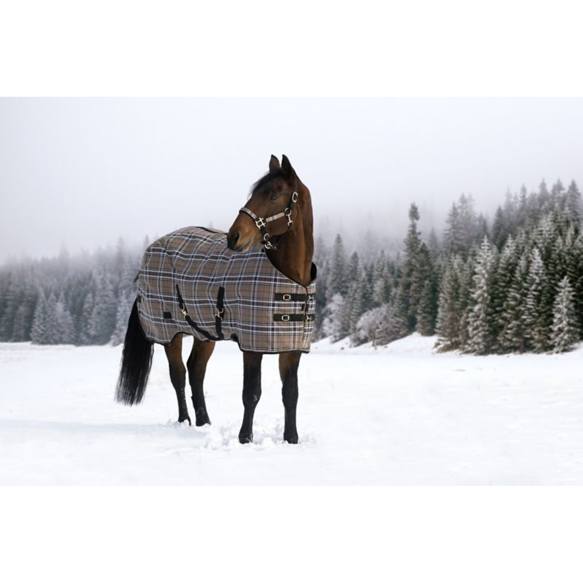 Kensington SuperMesh Turnout 180G