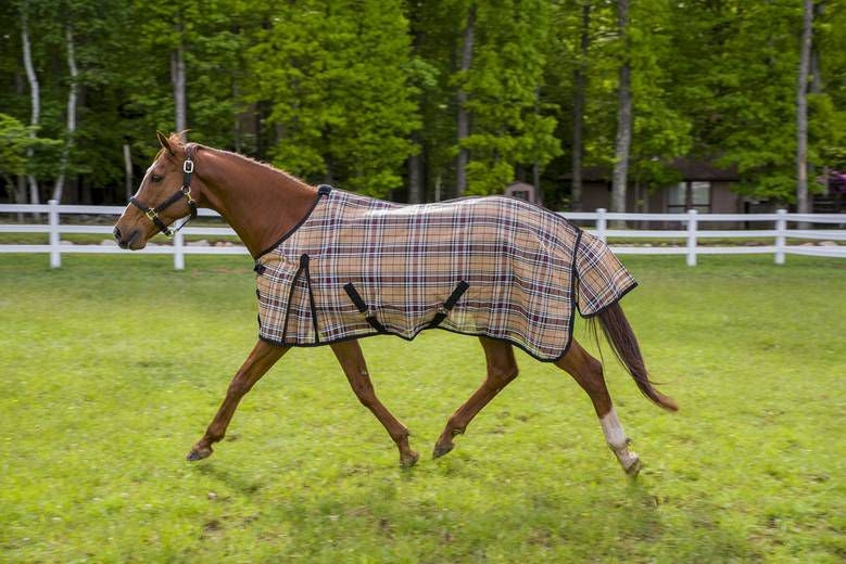 Tuffrider Flyshield Sheet Blue Plaid 69