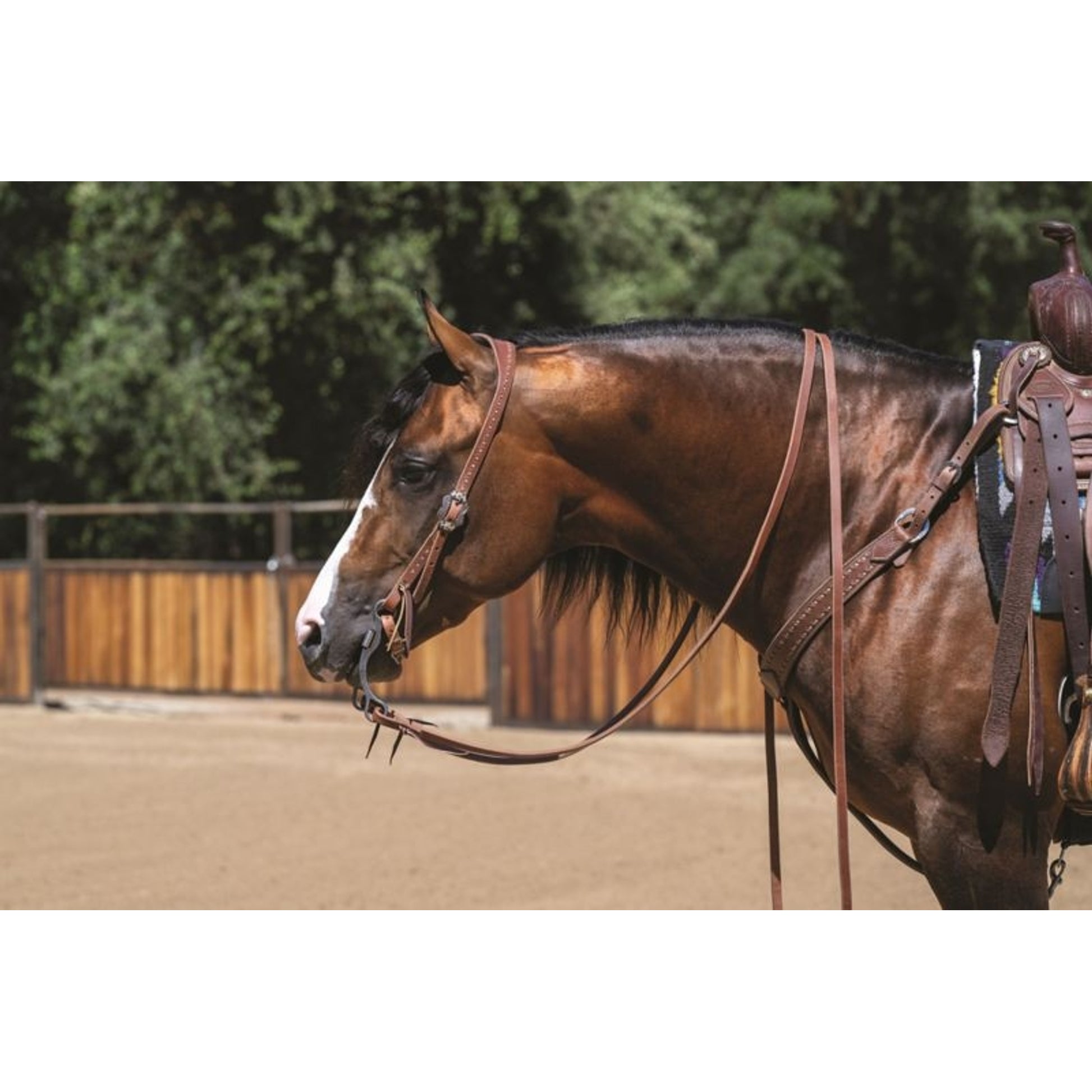 Weaver Buckstitch Dusk Split Ear Headstall