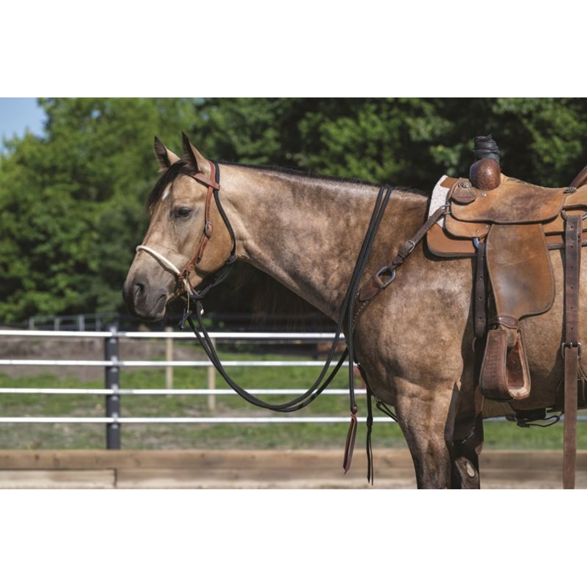 Weaver Loping Hackamore Leather Hanger