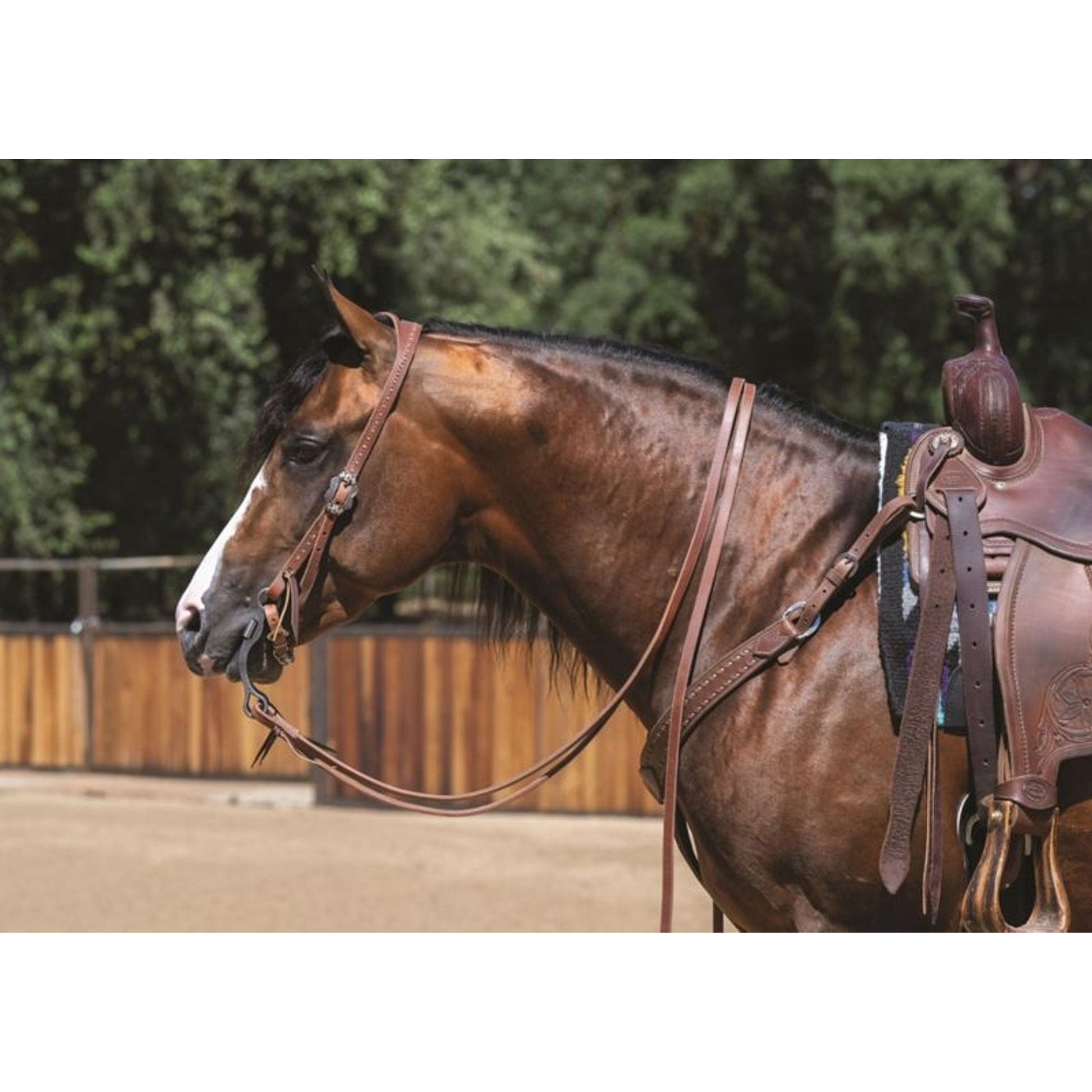 Weaver Buckstitch Dusk Contour Breast Collar