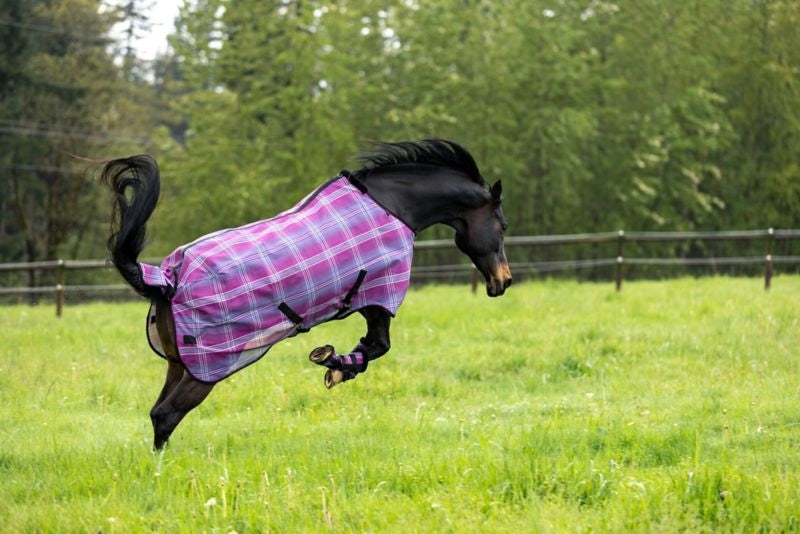 Kensington Draft Protective Fly Sheet