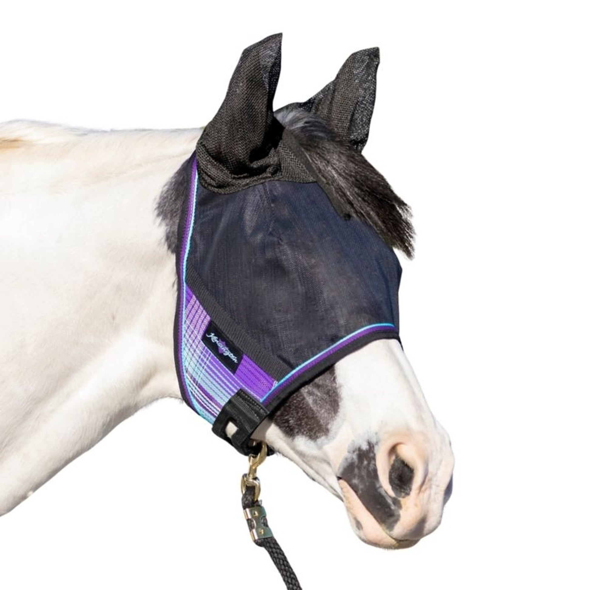 UV CatchMask Ears Frlk