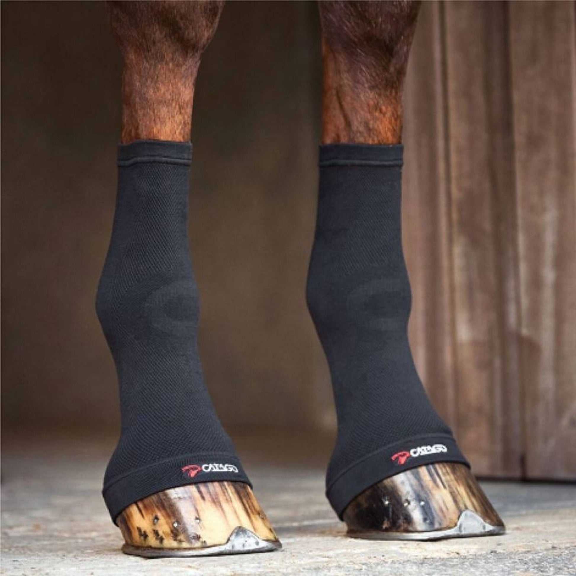 Catago Fir Tech Fetlock Socks Black One Size