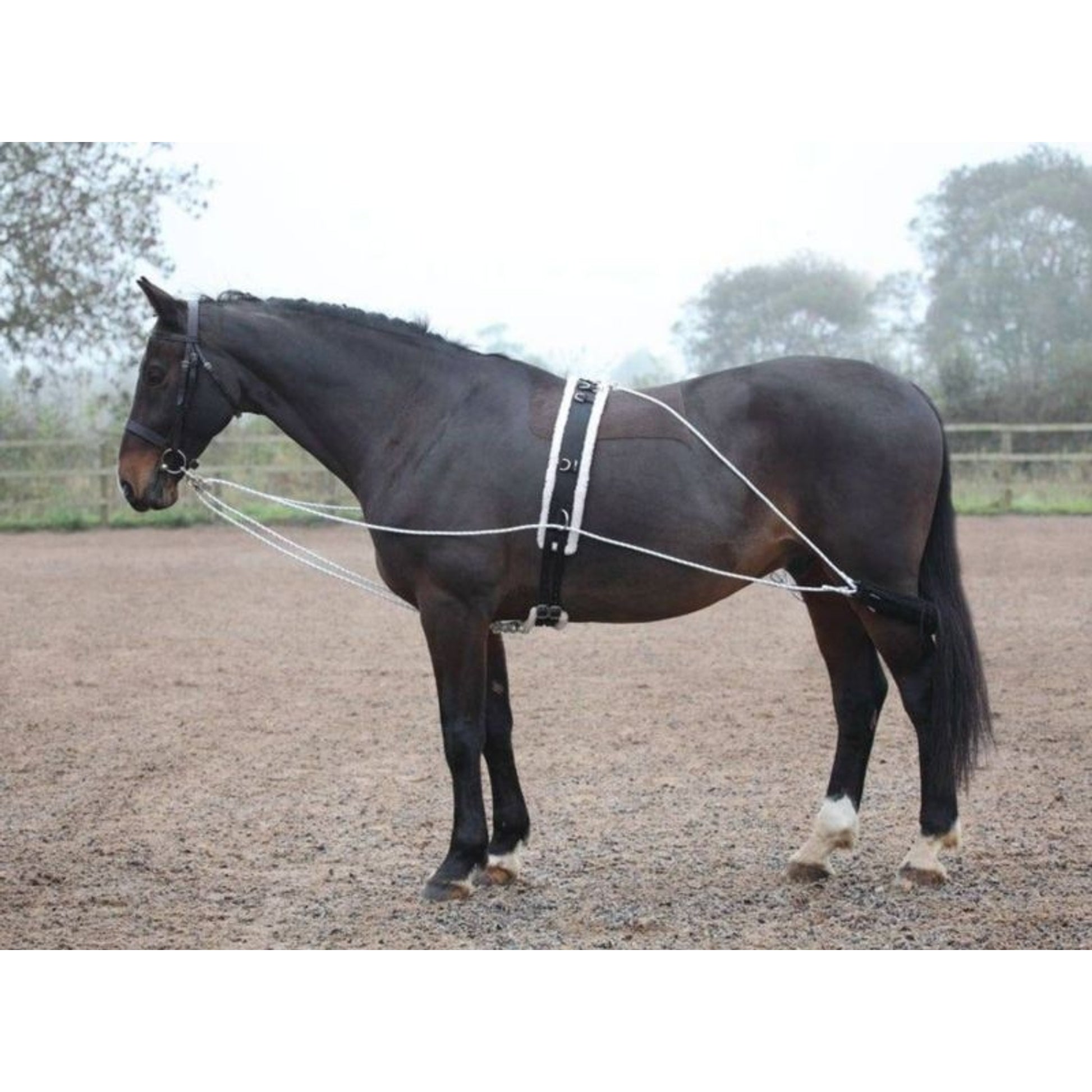 Shires Lunging Aid White