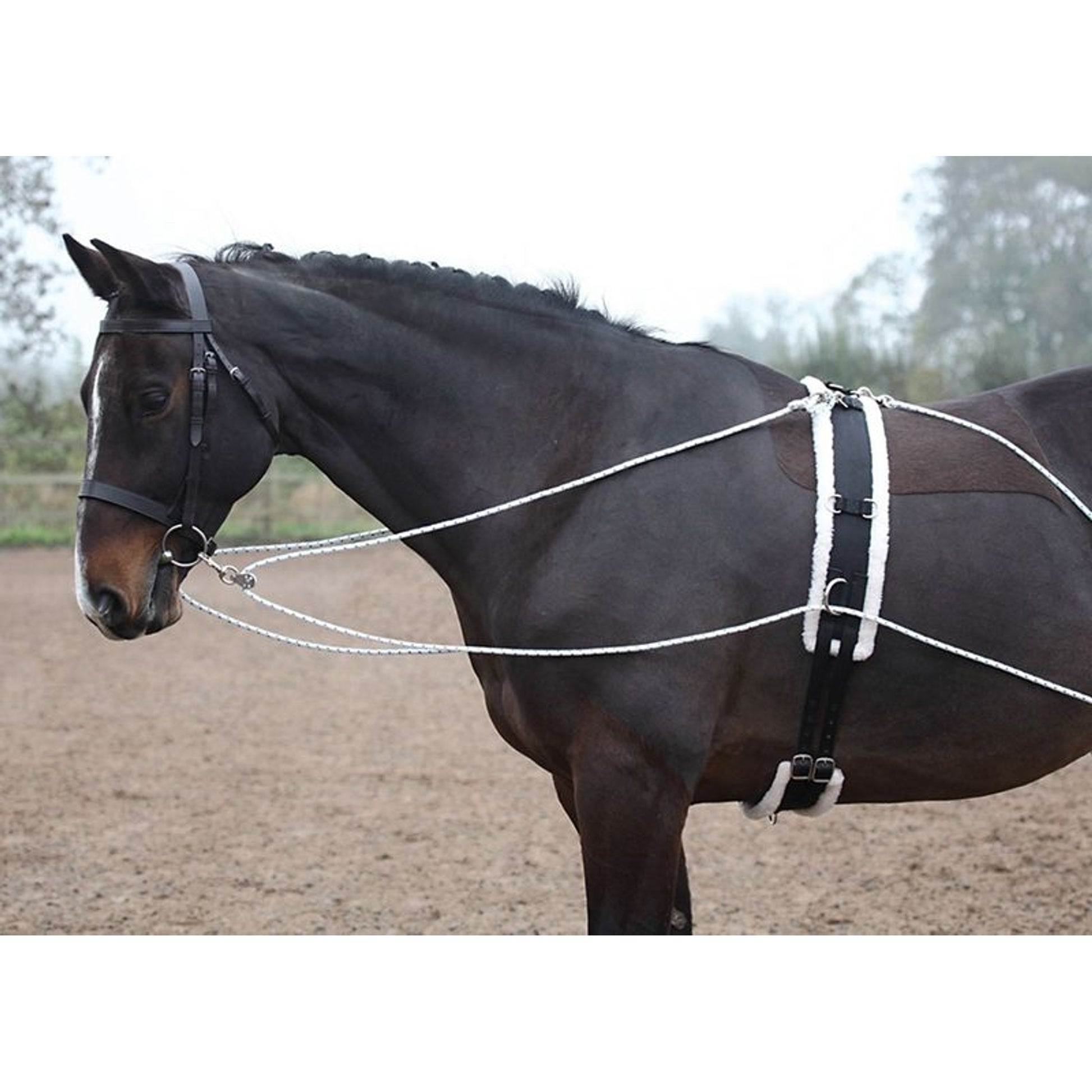 Shires Lunging Aid White