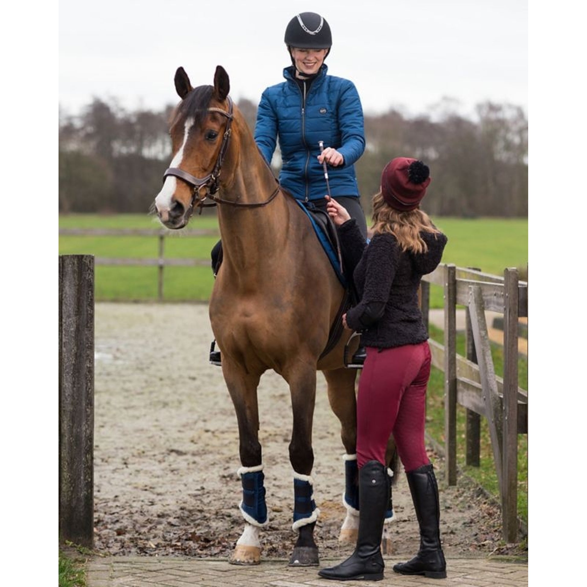 QHP Astana Leg Splint Boots