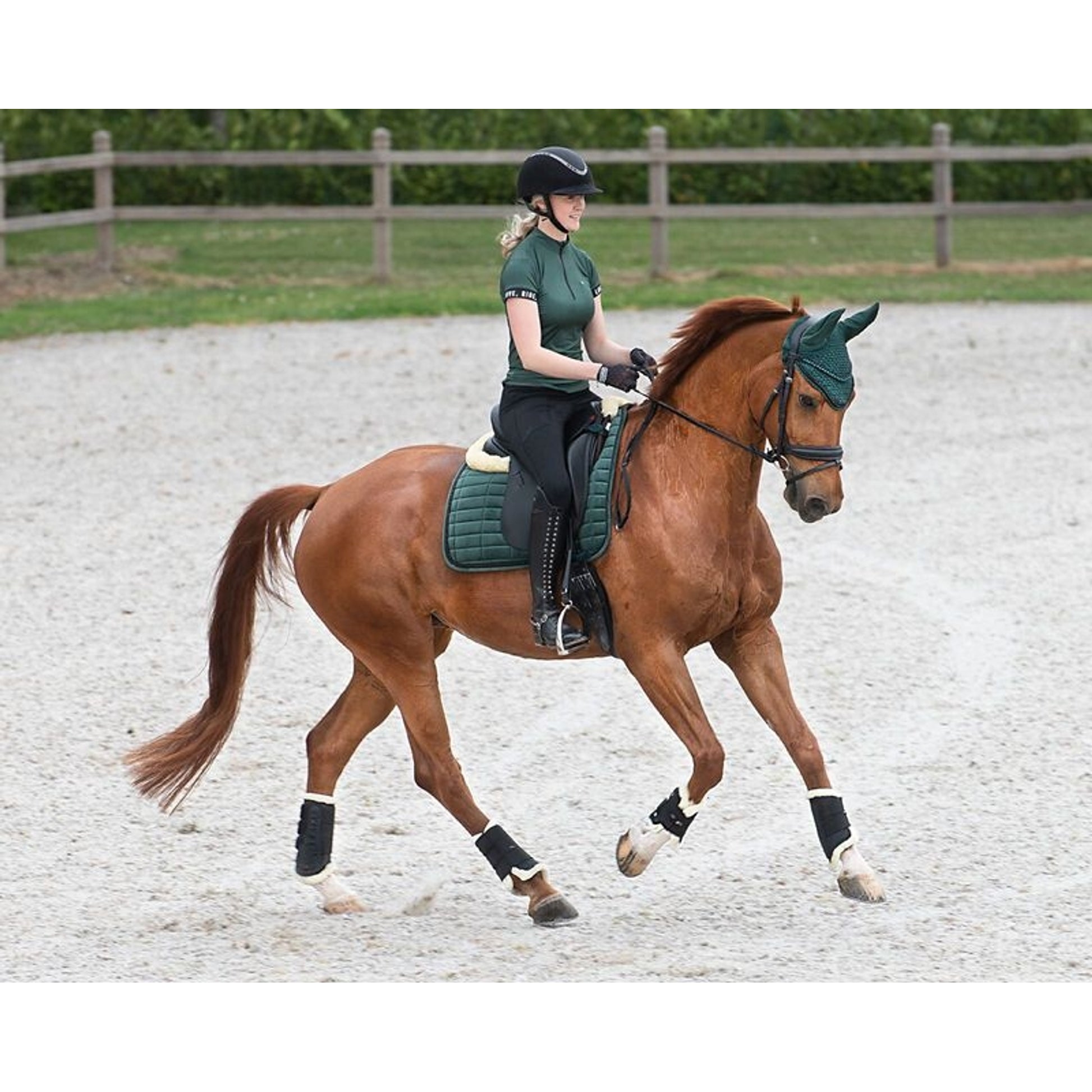 QHP Astana Crystal Dressage Pad